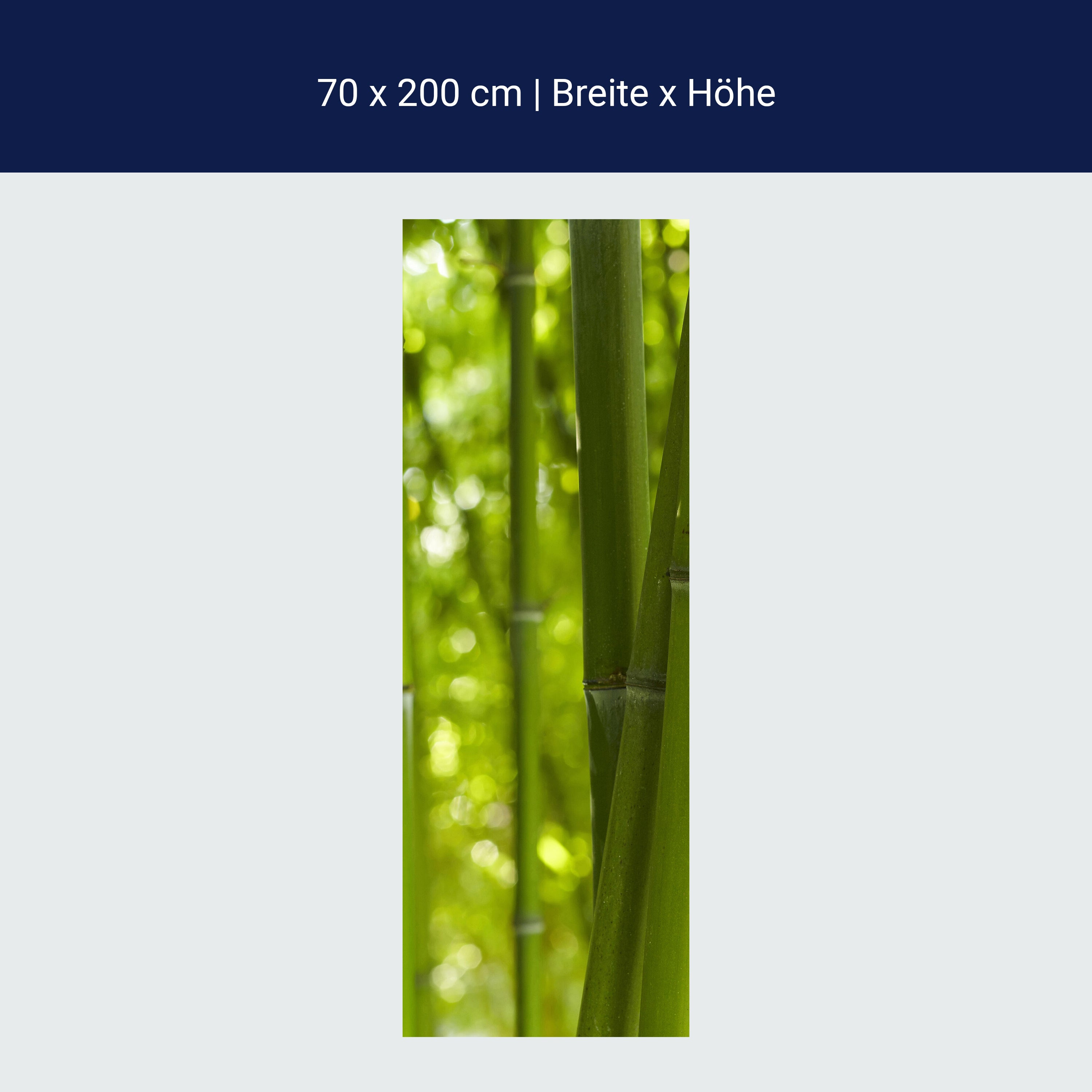 Türtapete Bambus M0003 Türtapete Bambus M0003