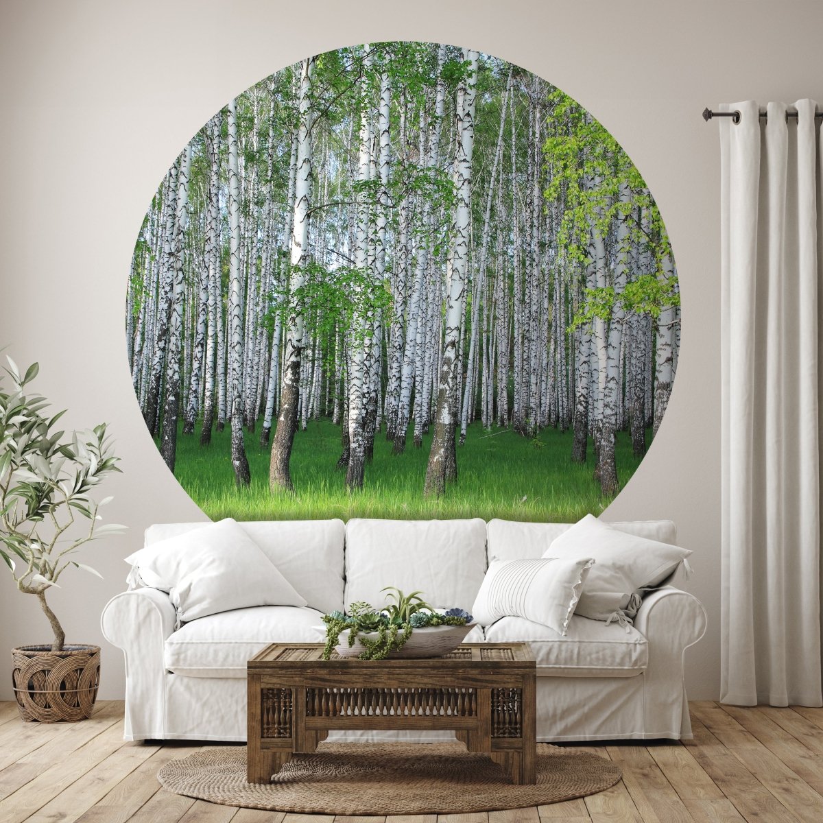 Runde Fototapete Birkenhain im Frühling M0005 - Bild 1 Runde Fototapete Birkenhain im Frühling M0005 - Bild 1