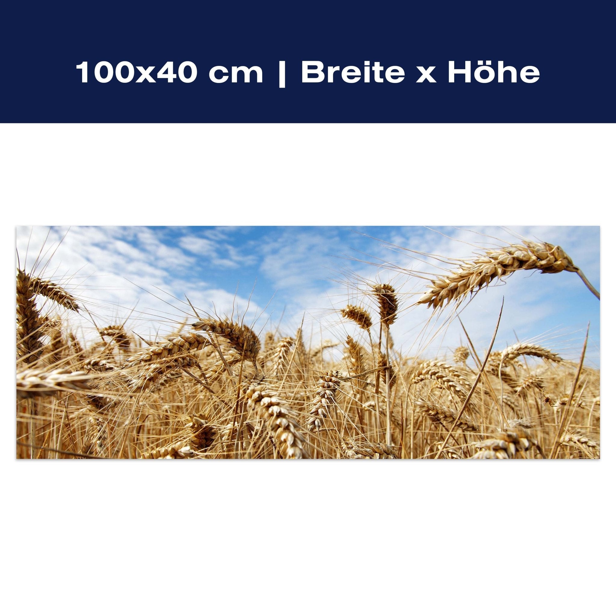 Leinwandbild Kornfeld M0009 Leinwandbild Kornfeld M0009