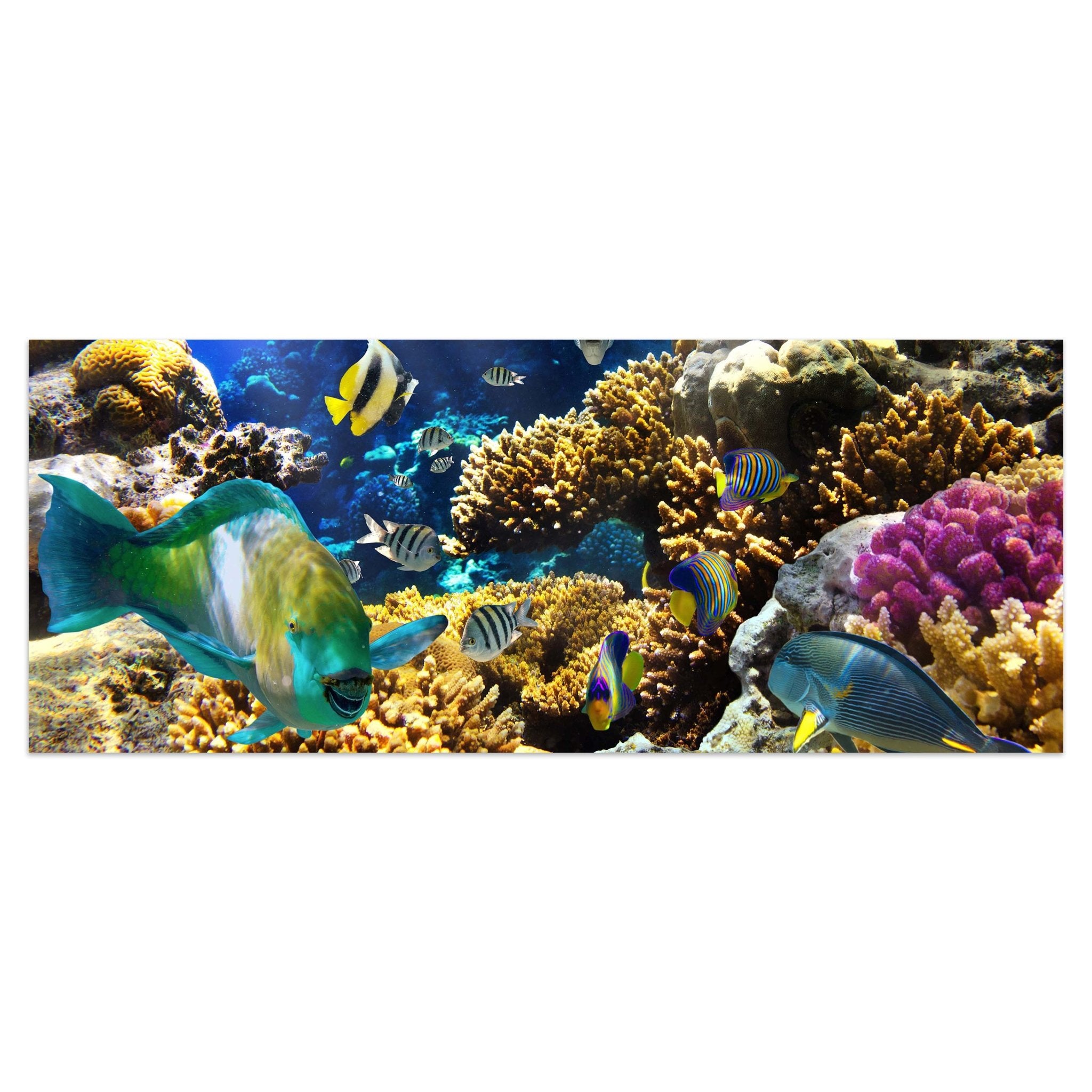 Leinwandbild Unterwasser M0011 kaufen - Bild 1 Leinwandbild Unterwasser M0011 kaufen - Bild 1