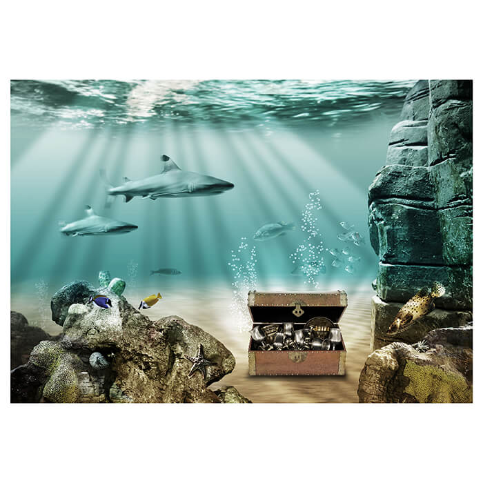 Fototapete Unterwasser-Schatz M0020 - Bild 2 Fototapete Unterwasser-Schatz M0020 - Bild 2