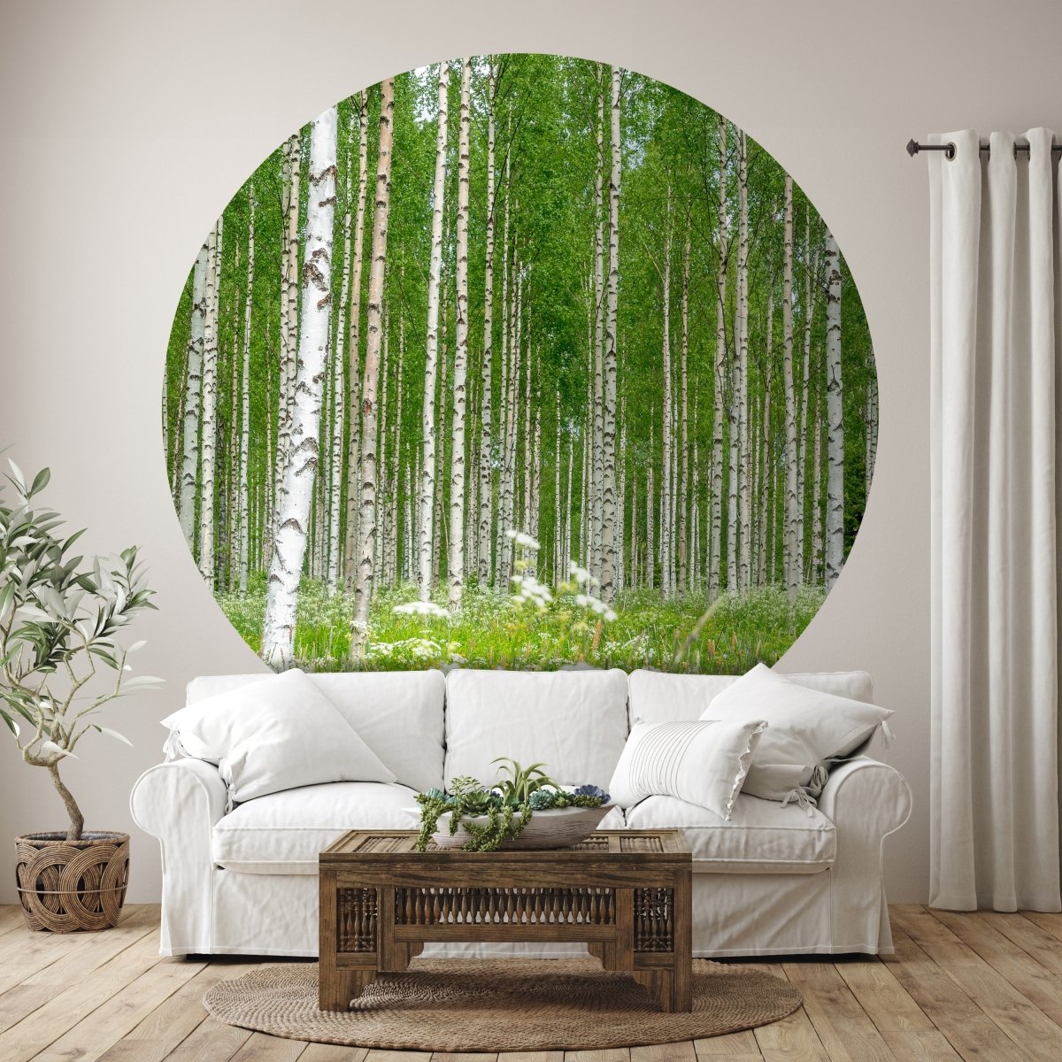 Runde Fototapete Birkenwald mit Blumenwiese M0024 - Bild 1 Runde Fototapete Birkenwald mit Blumenwiese M0024 - Bild 1