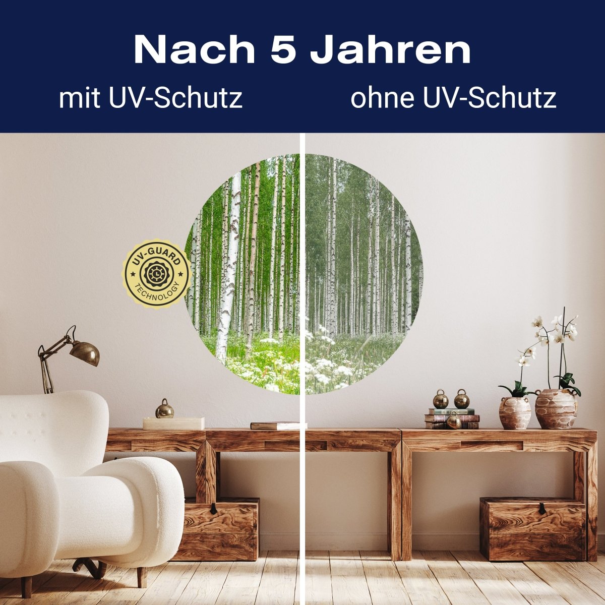 Runde Fototapete Birkenwald mit Blumenwiese M0024 - Bild 9 Runde Fototapete Birkenwald mit Blumenwiese M0024 - Bild 9