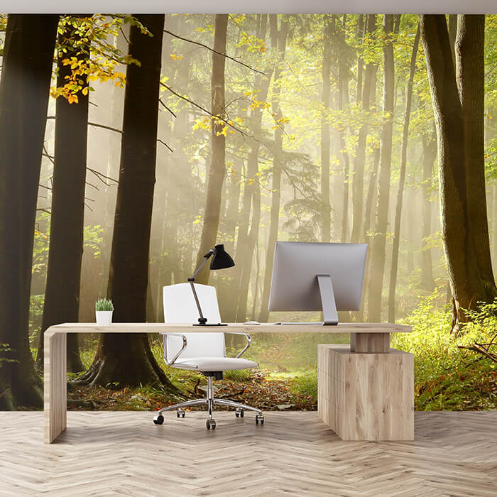 Fototapete Wald-Weg M0024 - Bild 1 Fototapete Wald-Weg M0024 - Bild 1