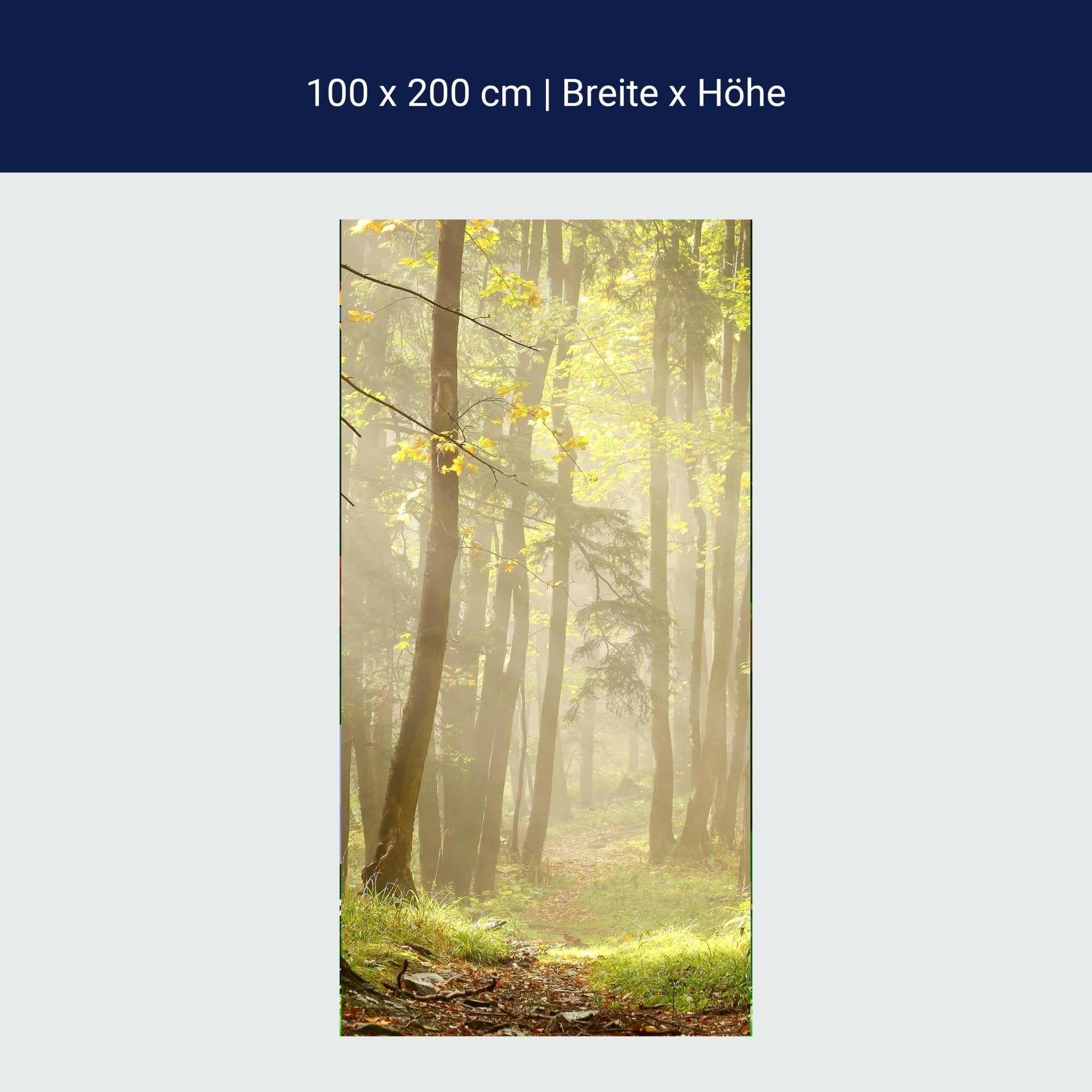 Türtapete Waldweg M0024 Türtapete Waldweg M0024