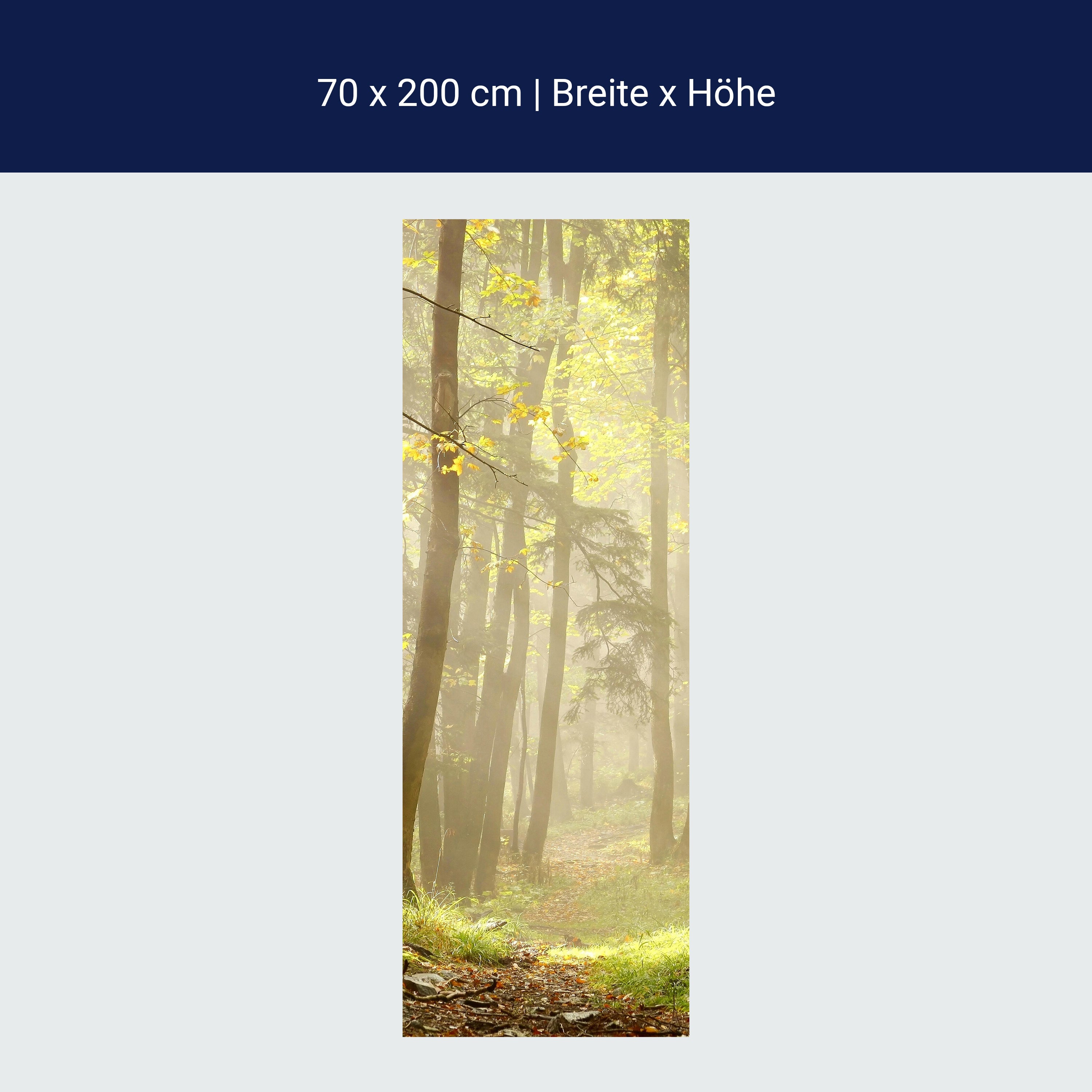 Türtapete Waldweg M0024 Türtapete Waldweg M0024