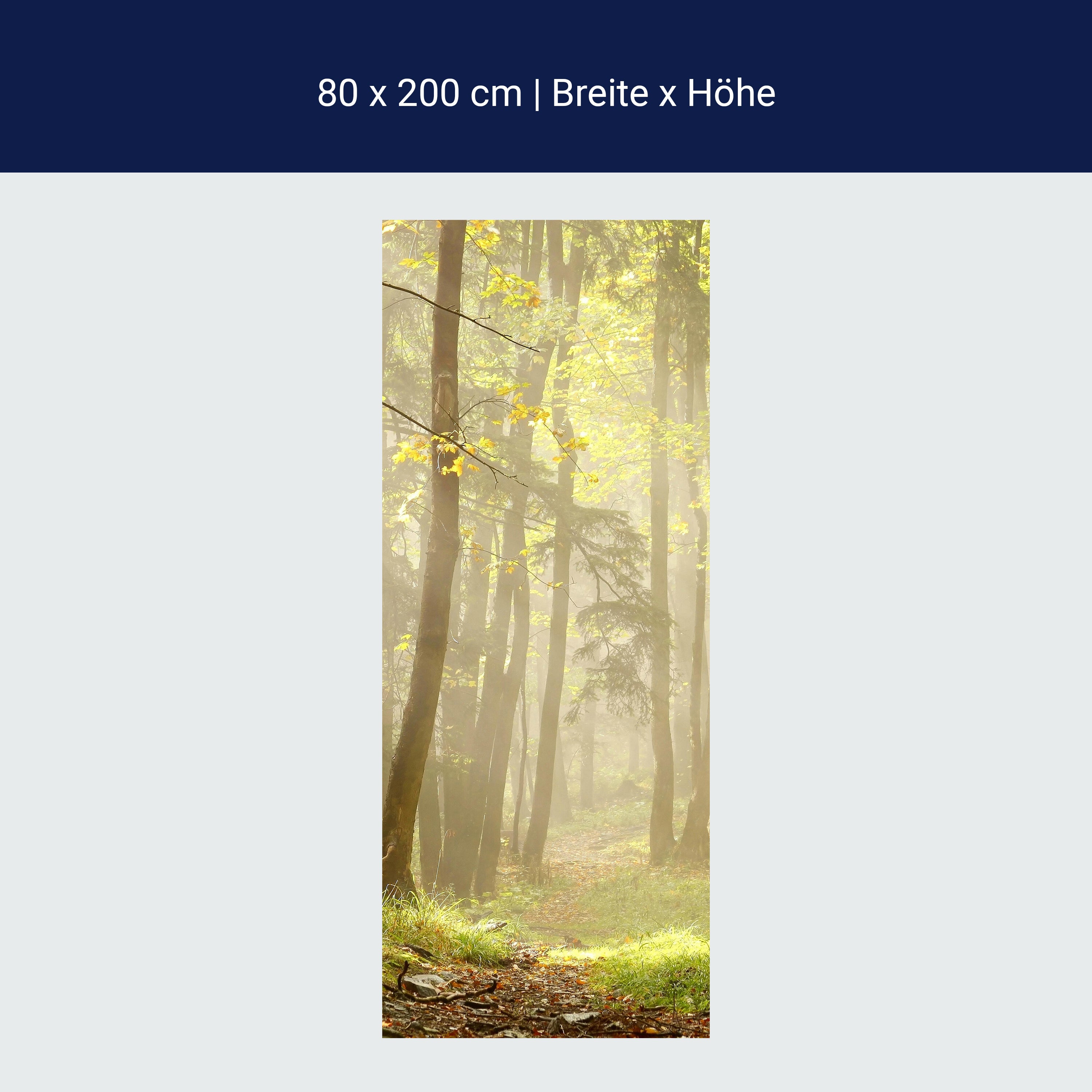 Türtapete Waldweg M0024 Türtapete Waldweg M0024