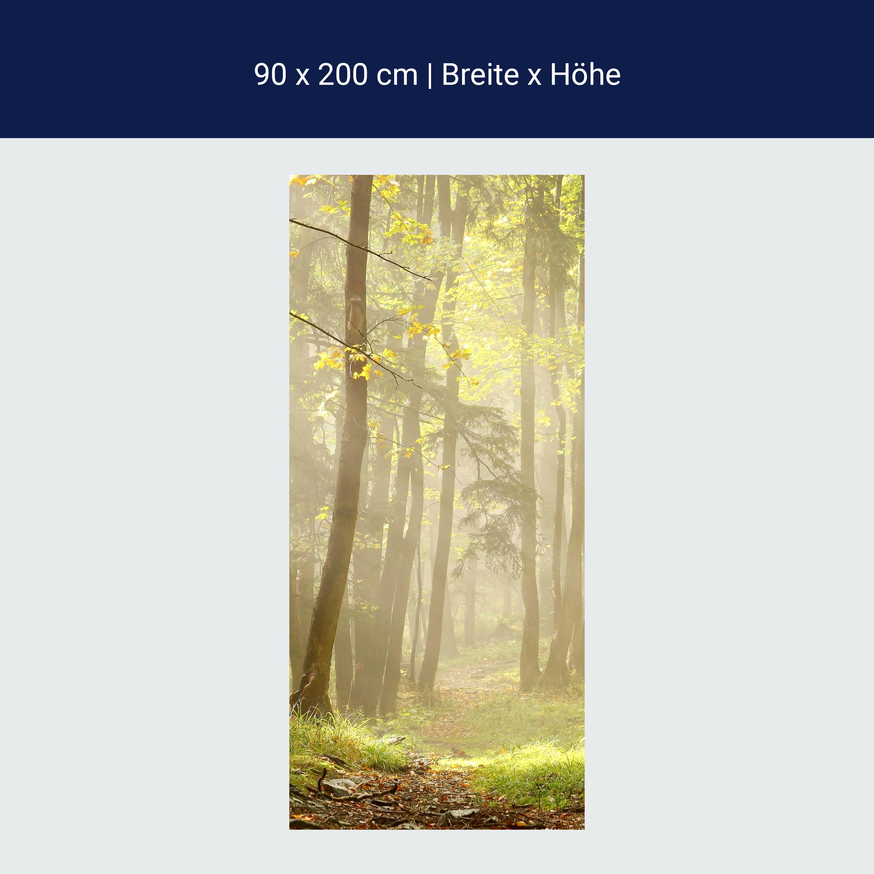 Türtapete Waldweg M0024 Türtapete Waldweg M0024