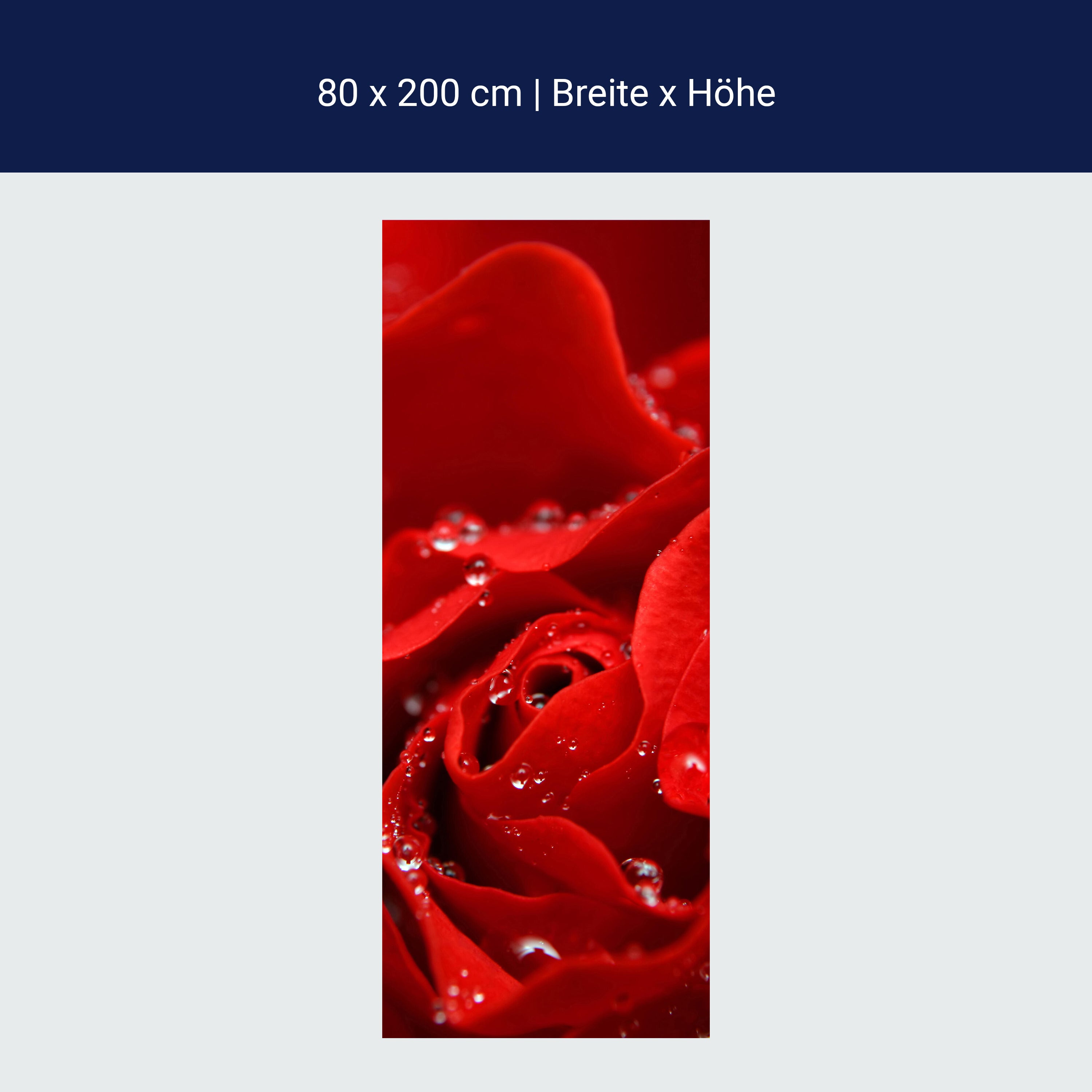 Türtapete Rosenblüte M0038 Türtapete Rosenblüte M0038