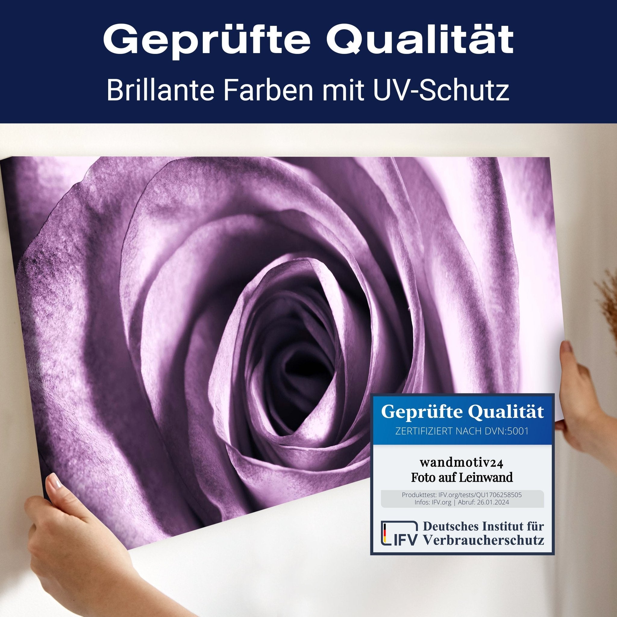 Leinwandbild violette Rose M0051 kaufen - Bild 4 Leinwandbild violette Rose M0051 kaufen - Bild 4