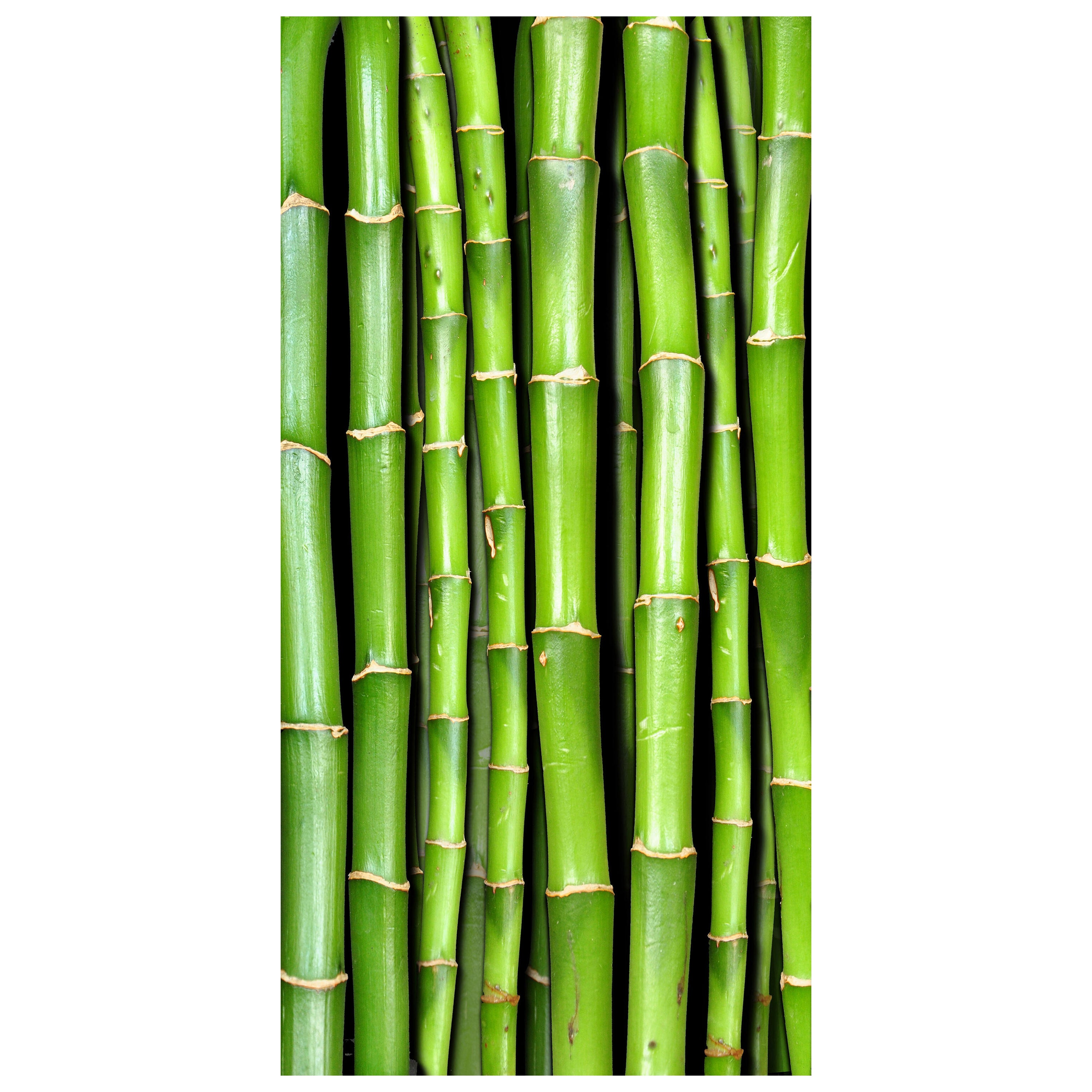Türtapete Bambuswand M0054 - Bild 2 Türtapete Bambuswand M0054 - Bild 2
