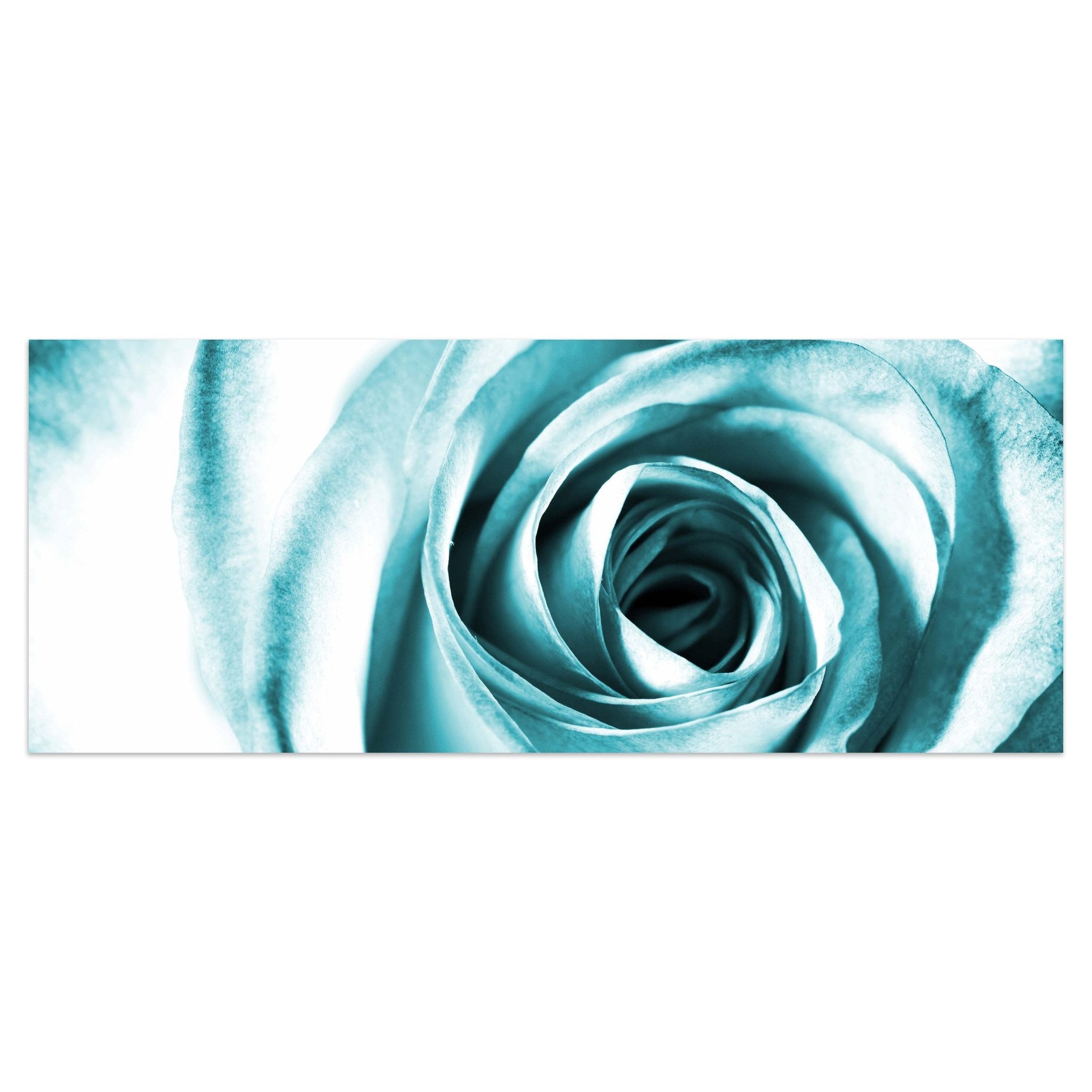 Leinwandbild Blaue Rose Blüte M0227 kaufen - Bild 1 Leinwandbild Blaue Rose Blüte M0227 kaufen - Bild 1