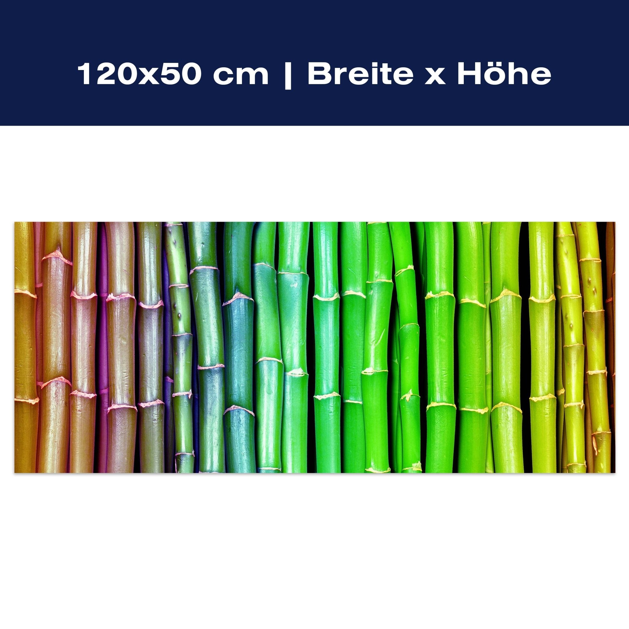 Leinwandbild bunter Bambus Asien M0229 Leinwandbild bunter Bambus Asien M0229