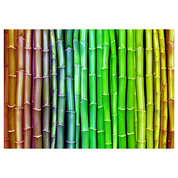 Fototapete Bambus-Regenbogen M0229 - Bild 2 Fototapete Bambus-Regenbogen M0229 - Bild 2