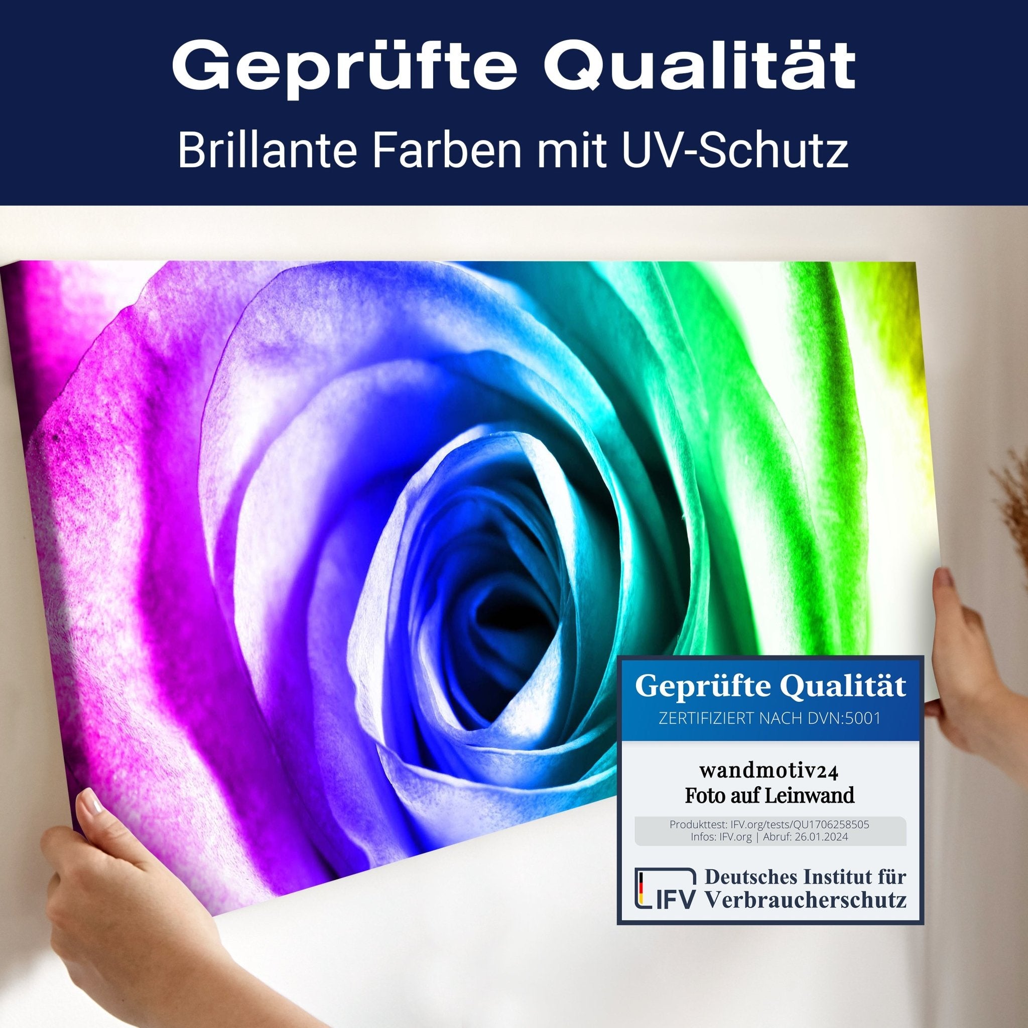 Leinwandbild Regenbogenrose Blüte M0230 kaufen - Bild 4 Leinwandbild Regenbogenrose Blüte M0230 kaufen - Bild 4