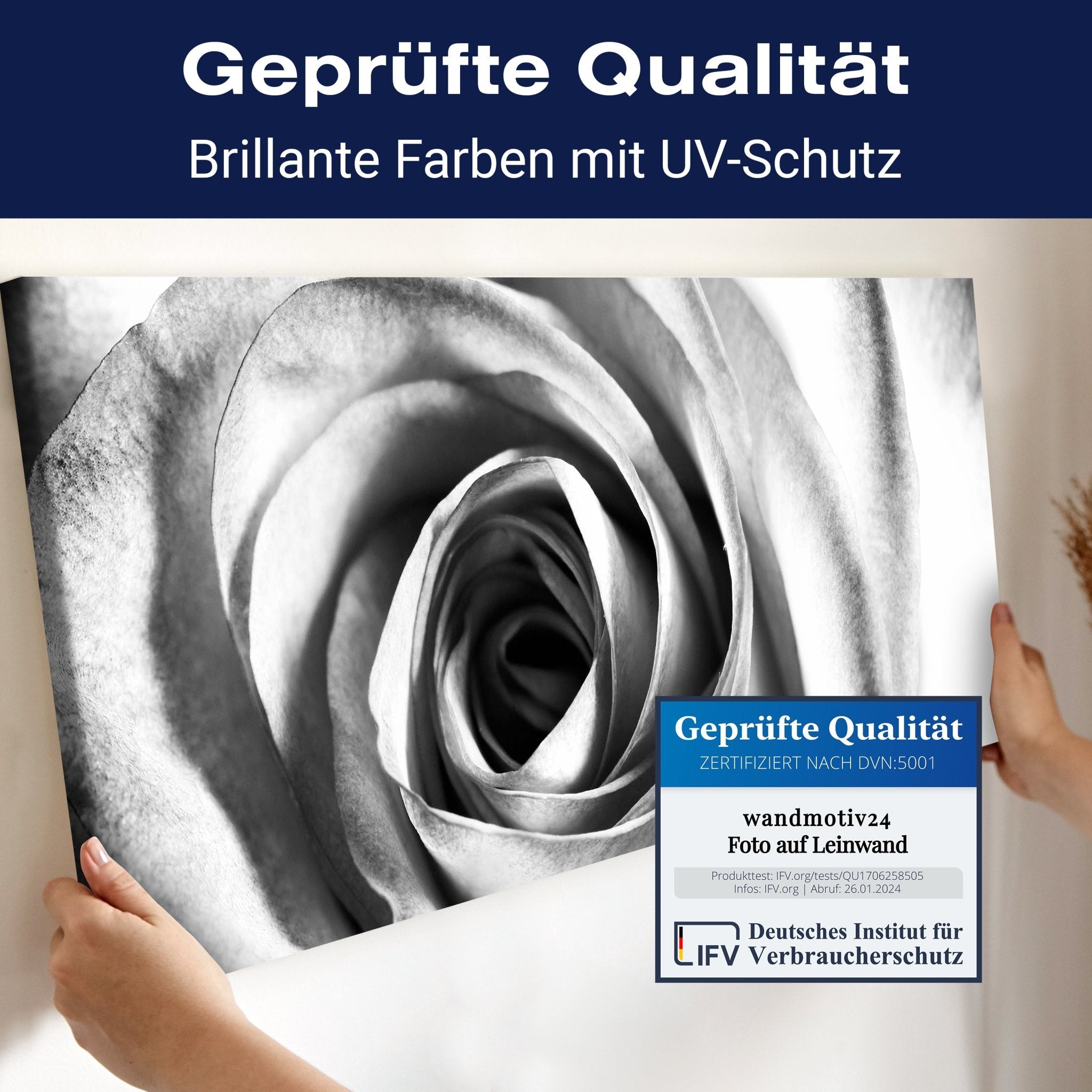 Leinwandbild weiße Rose Blüte M0233 kaufen - Bild 4 Leinwandbild weiße Rose Blüte M0233 kaufen - Bild 4