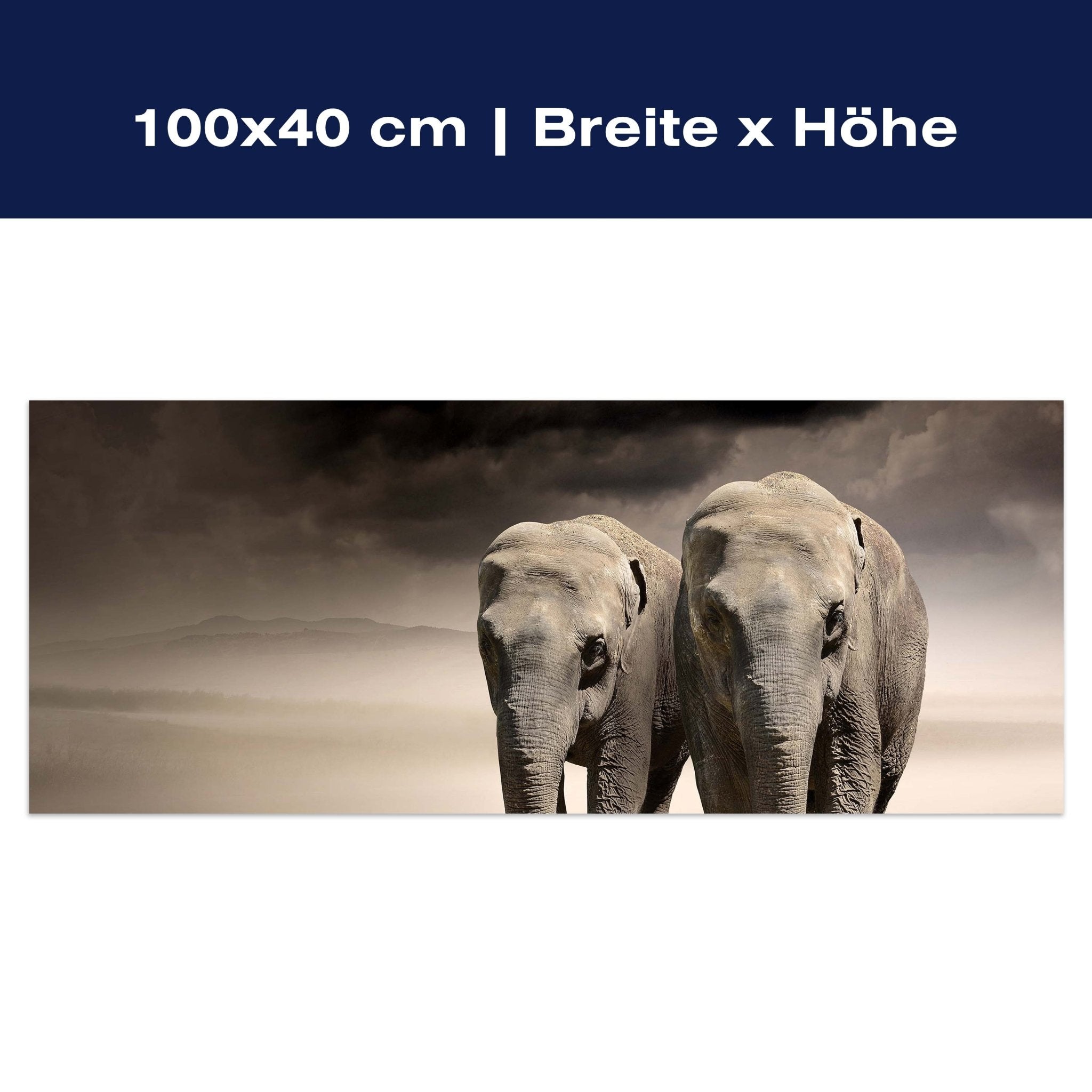 Leinwandbild Elefantentraum Afrika M0244 Leinwandbild Elefantentraum Afrika M0244