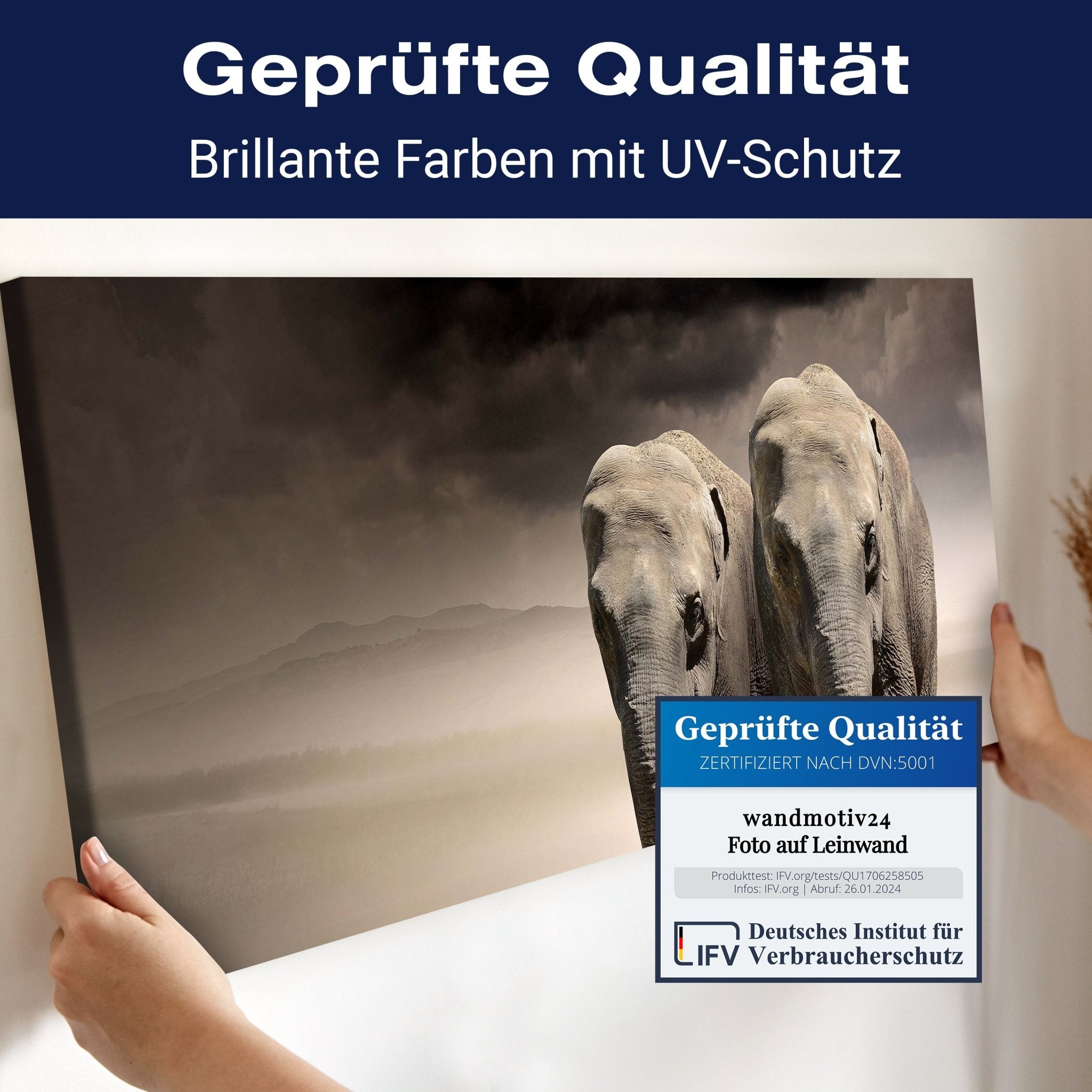 Leinwandbild Elefantentraum Afrika M0244 kaufen - Bild 4 Leinwandbild Elefantentraum Afrika M0244 kaufen - Bild 4