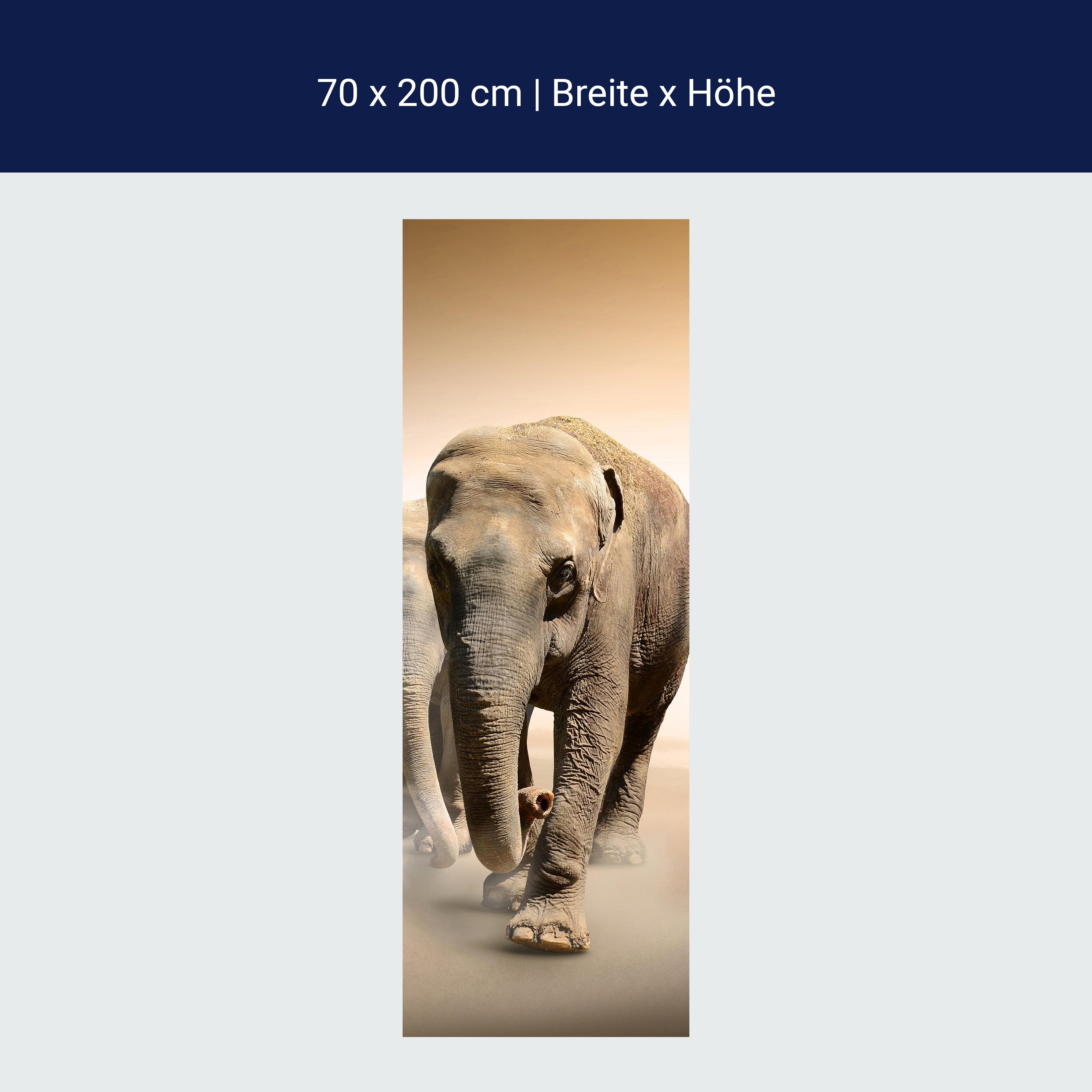 Türtapete Elefantengruppe Afrika M0245 Türtapete Elefantengruppe Afrika M0245