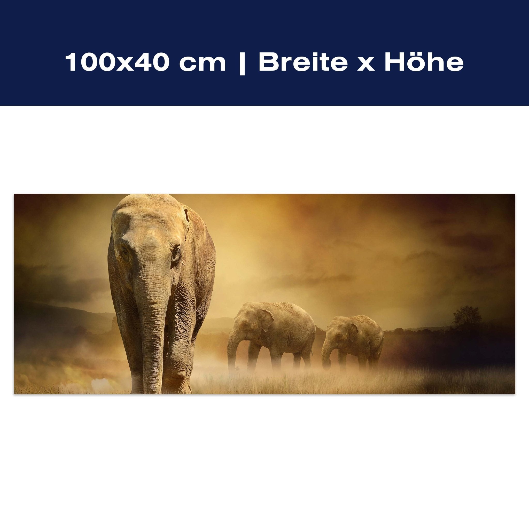 Leinwandbild Steppenelefant Afrika M0246 Leinwandbild Steppenelefant Afrika M0246