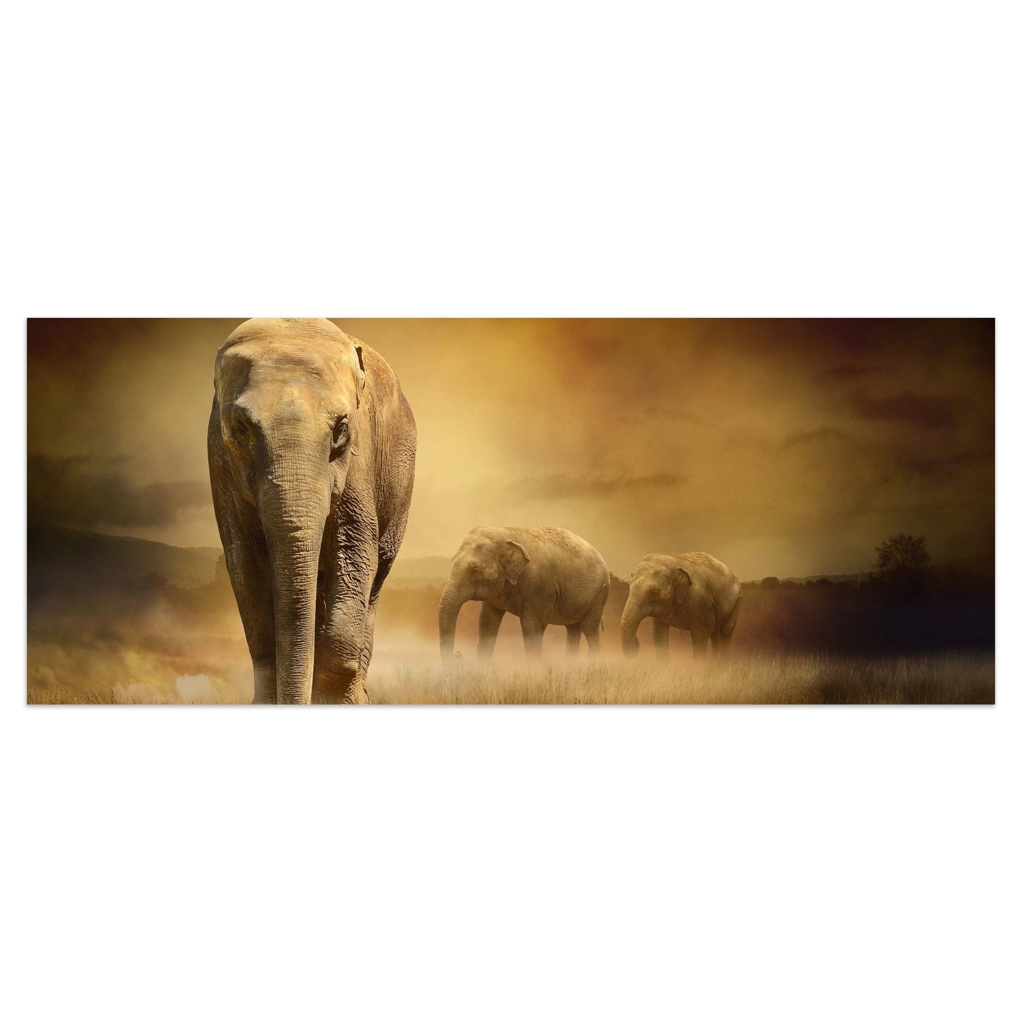 Leinwandbild Steppenelefant Afrika M0246 kaufen - Bild 1 Leinwandbild Steppenelefant Afrika M0246 kaufen - Bild 1