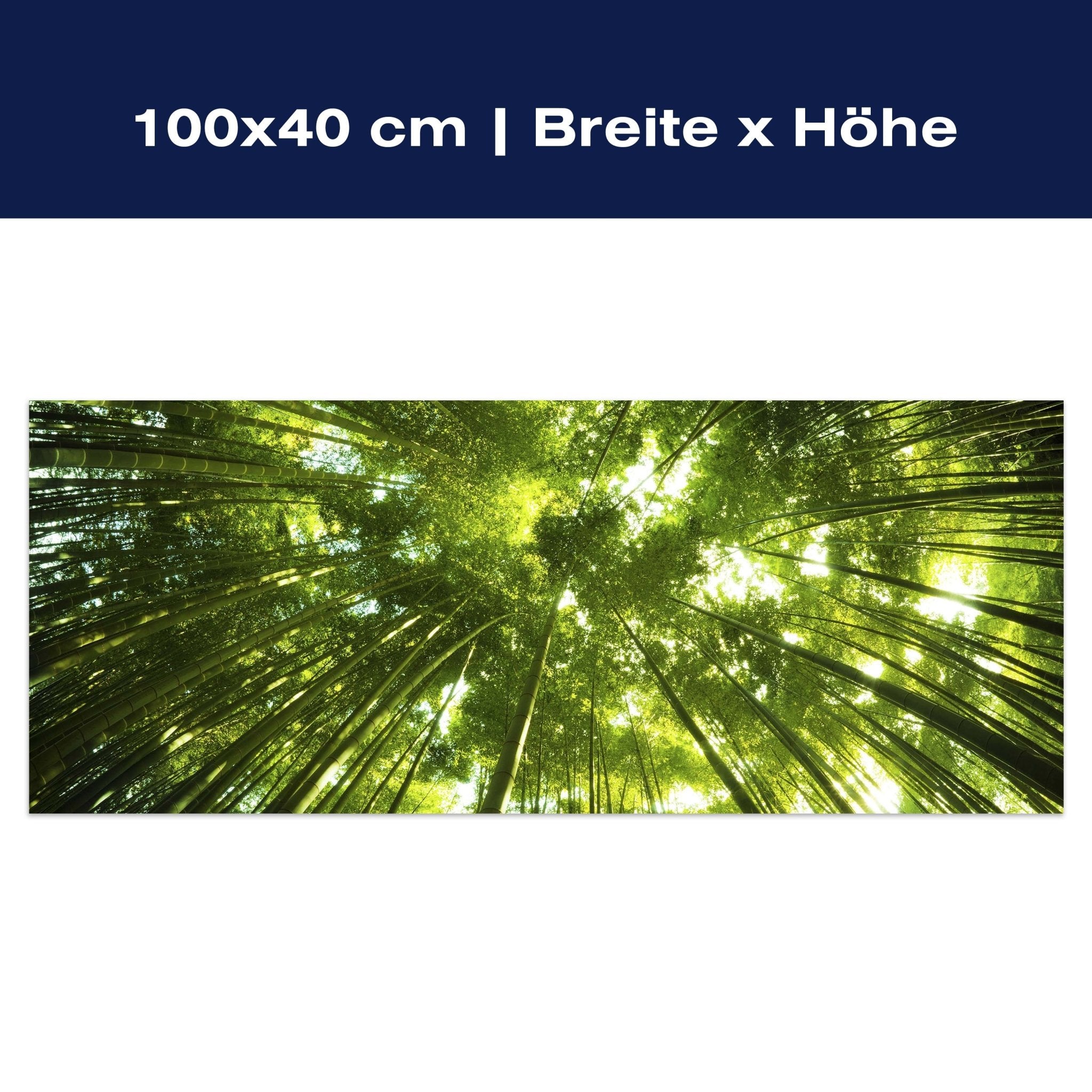 Leinwandbild Bambus Wald M0338 Leinwandbild Bambus Wald M0338