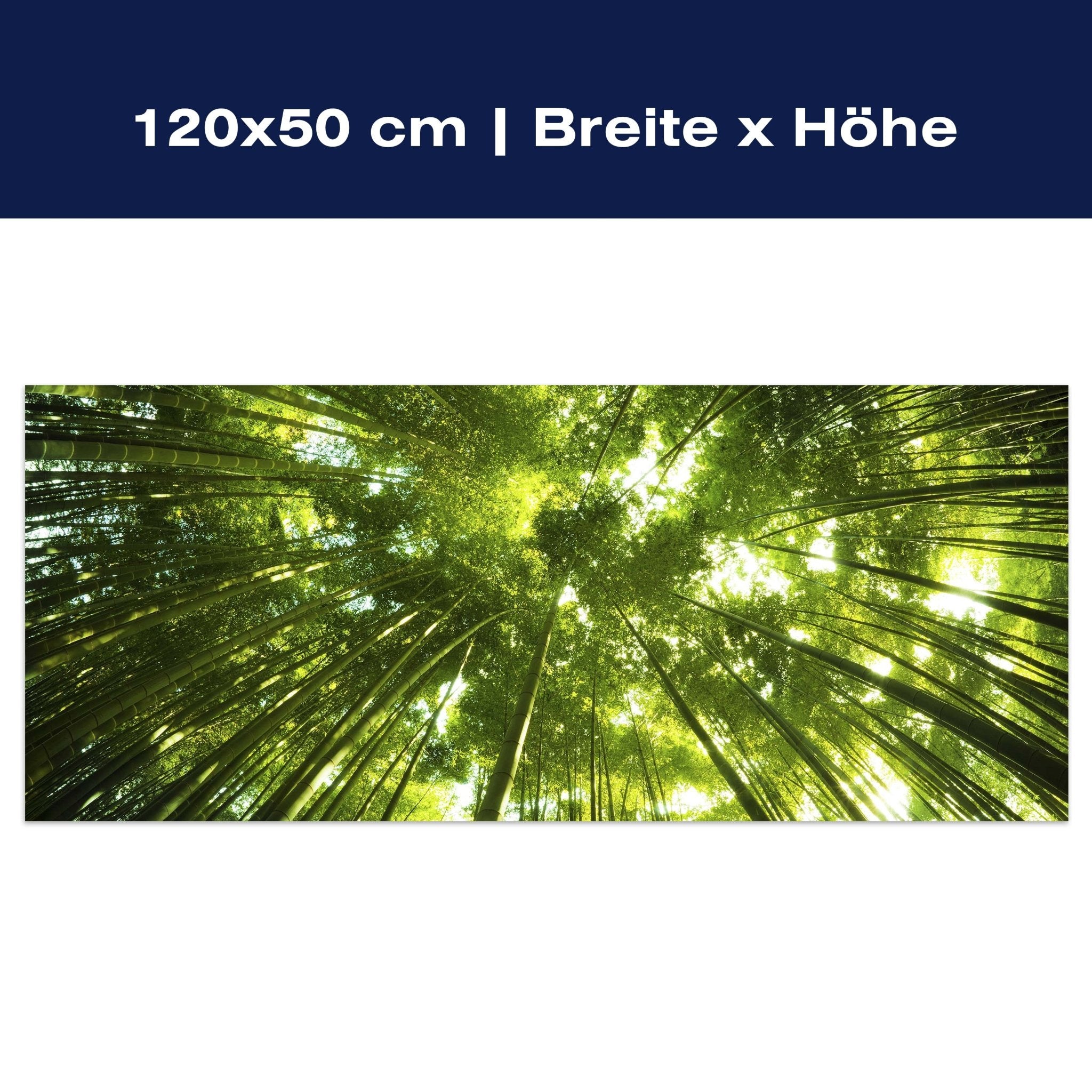 Leinwandbild Bambus Wald M0338 Leinwandbild Bambus Wald M0338