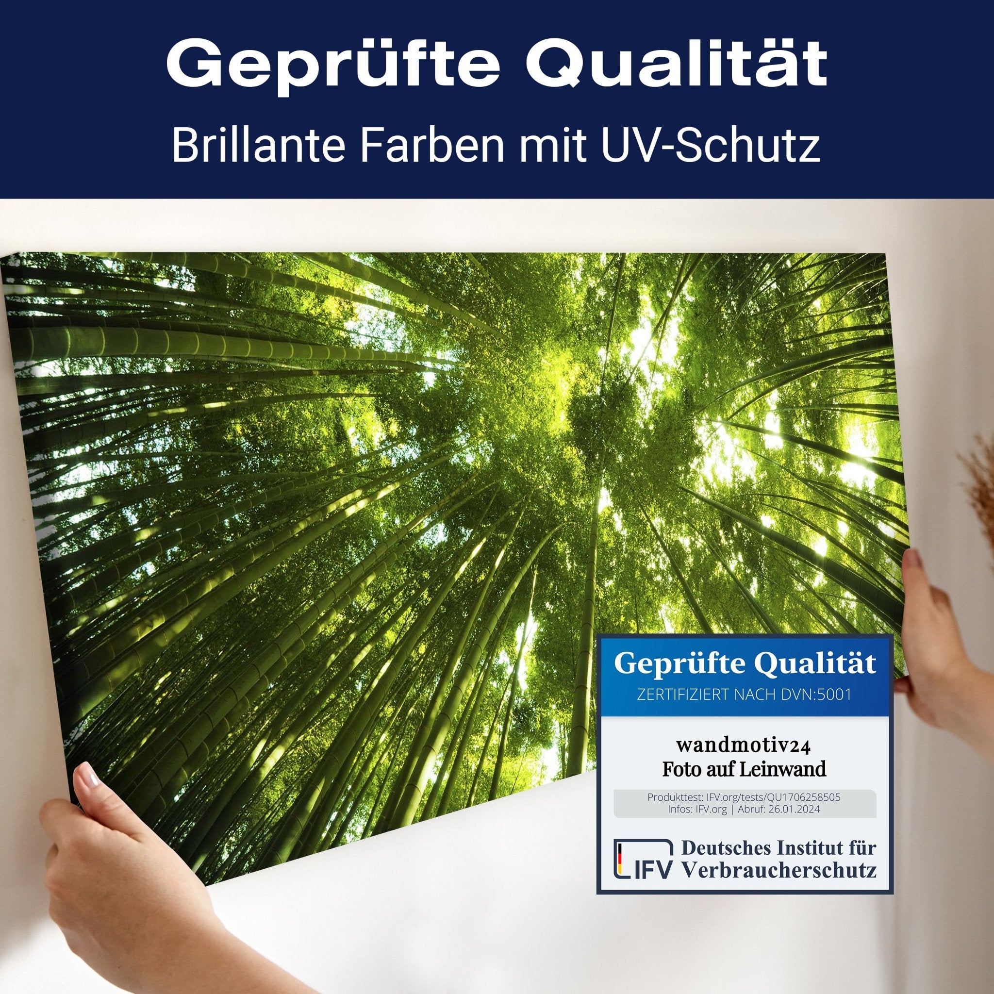 Leinwandbild Bambus Wald M0338 kaufen - Bild 4 Leinwandbild Bambus Wald M0338 kaufen - Bild 4