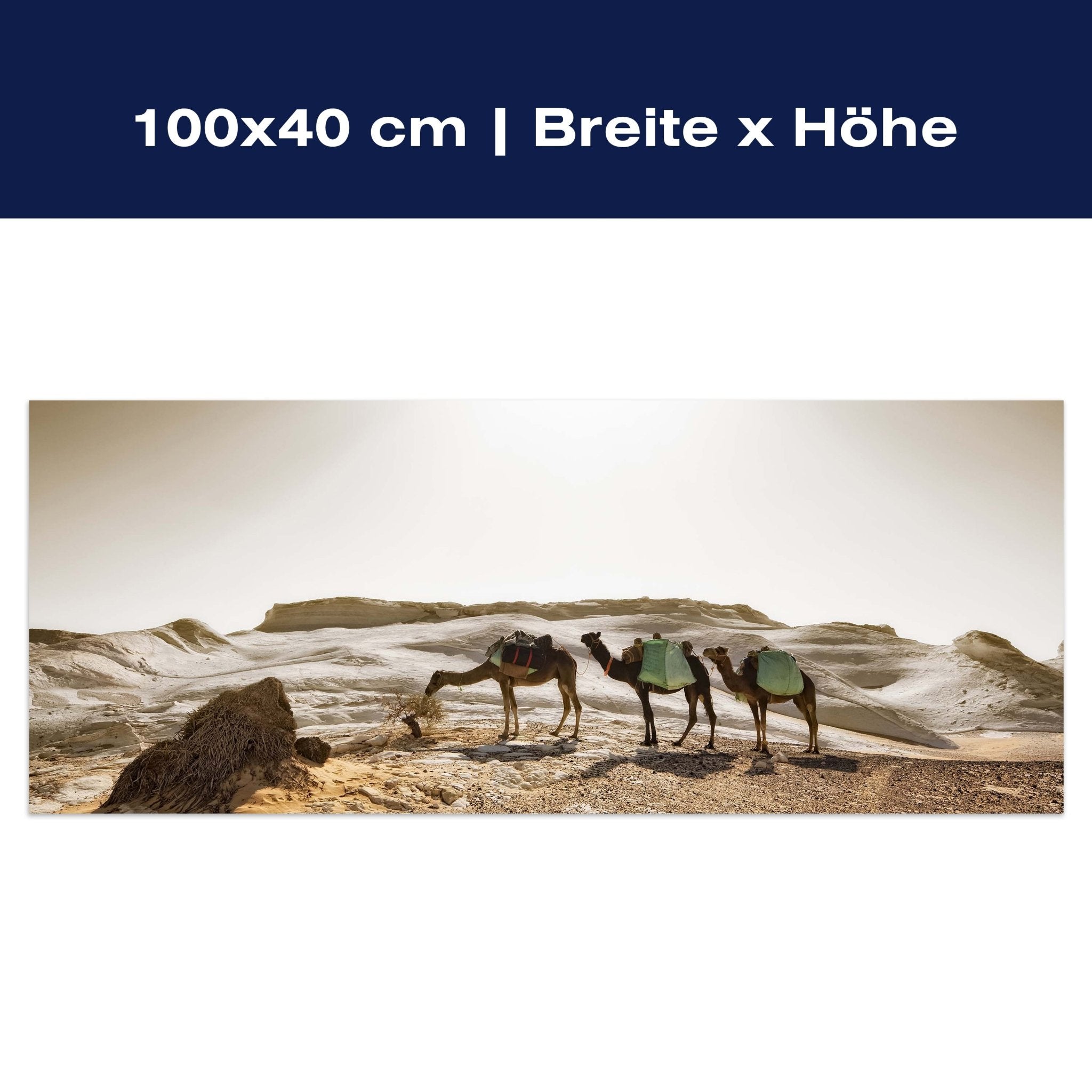 Leinwandbild Karavane M0343 Leinwandbild Karavane M0343
