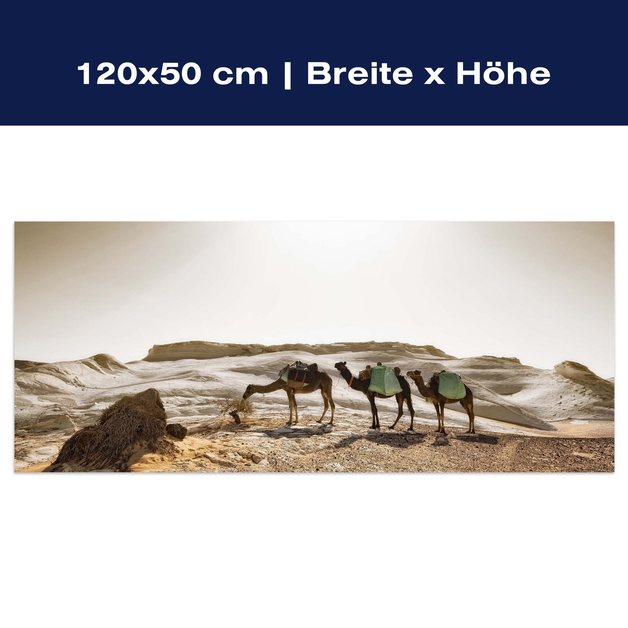 Leinwandbild Karavane M0343 Leinwandbild Karavane M0343