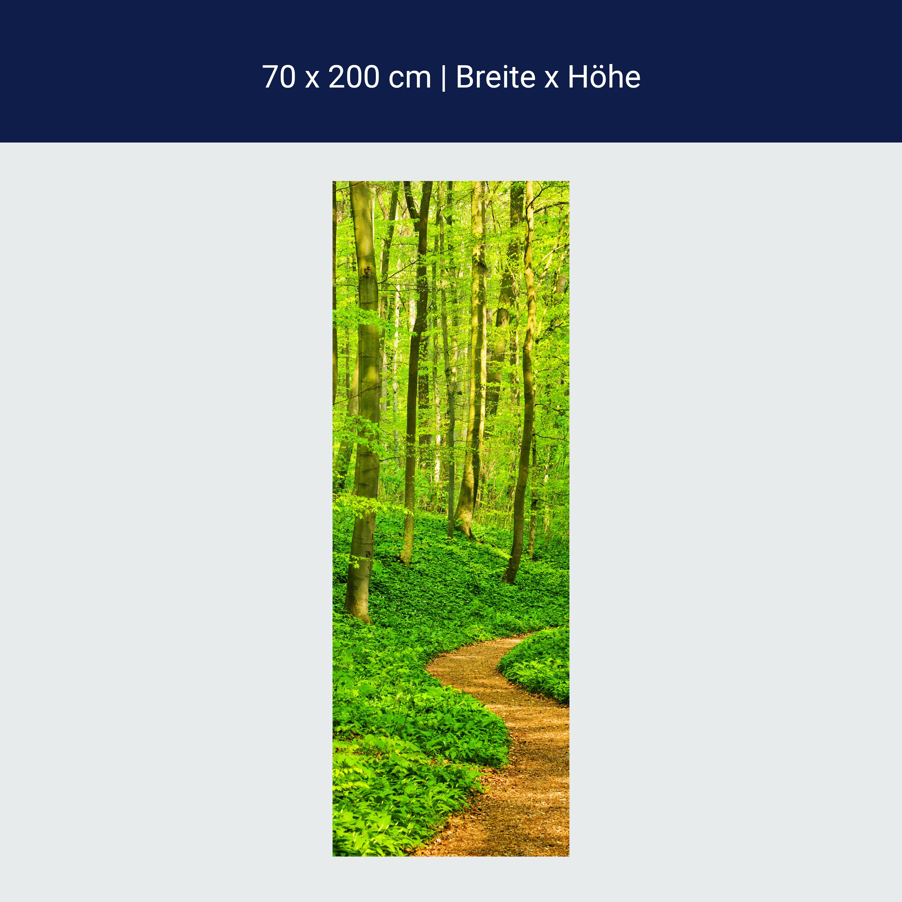 Türtapete Waldpfad M0345 Türtapete Waldpfad M0345