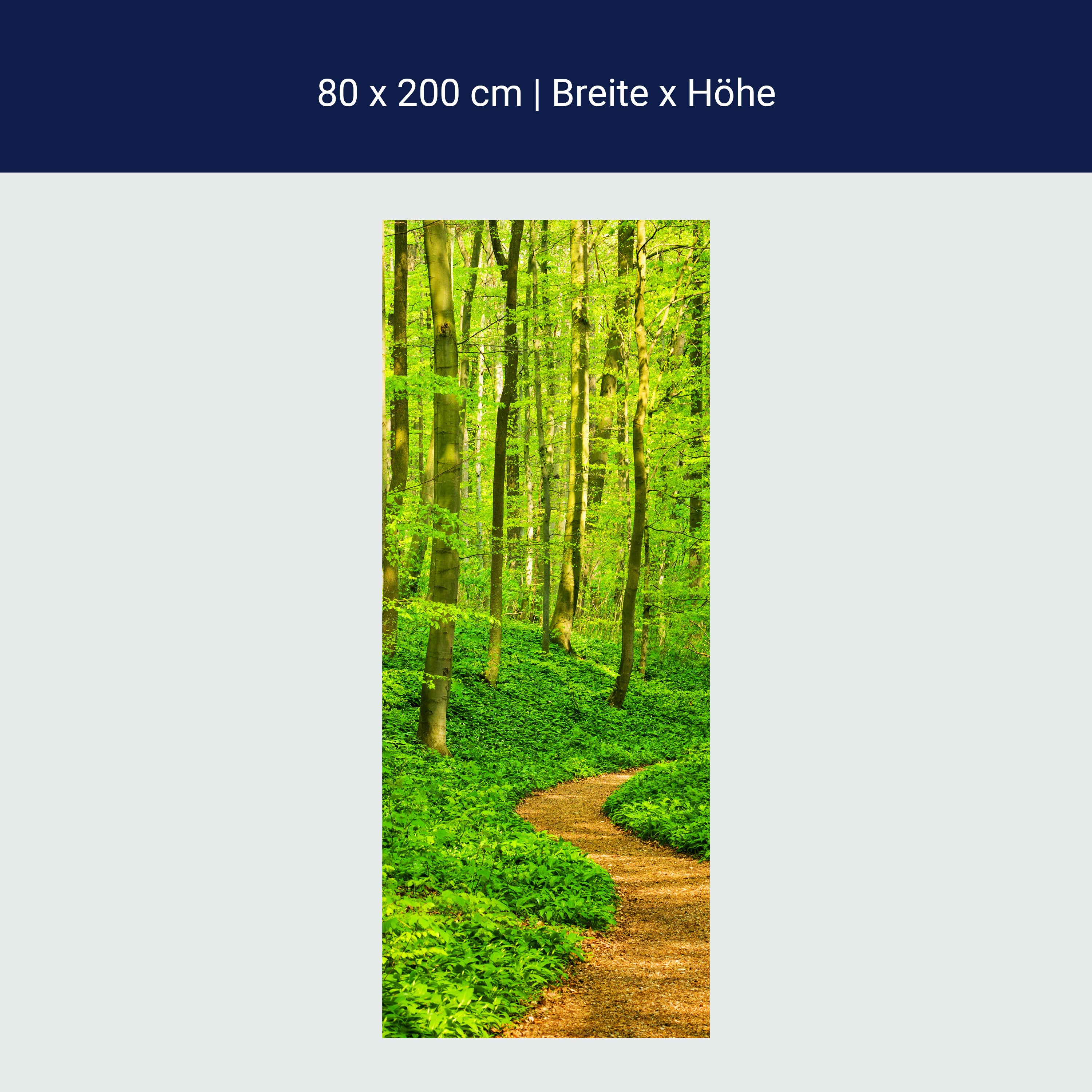 Türtapete Waldpfad M0345 Türtapete Waldpfad M0345