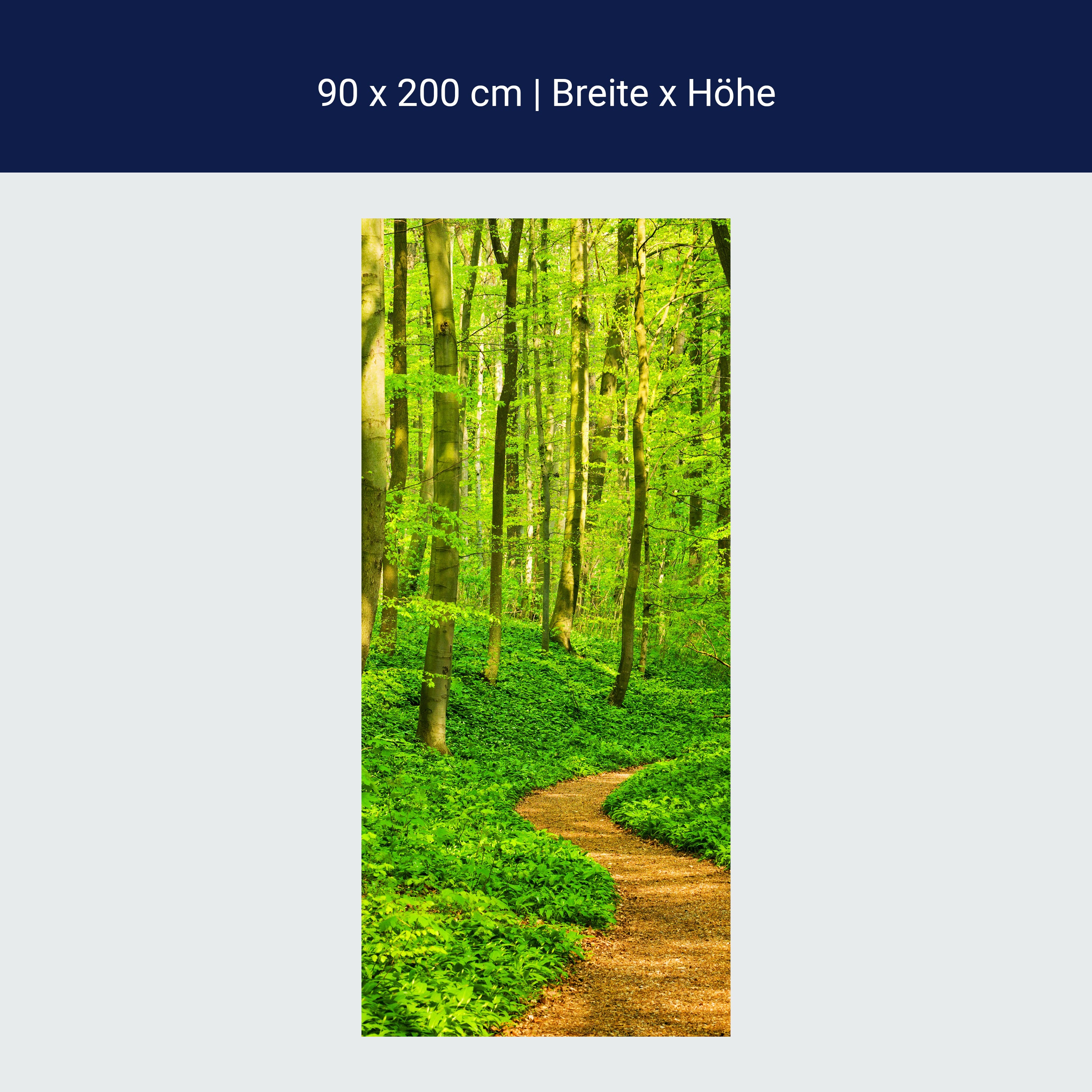 Türtapete Waldpfad M0345 Türtapete Waldpfad M0345