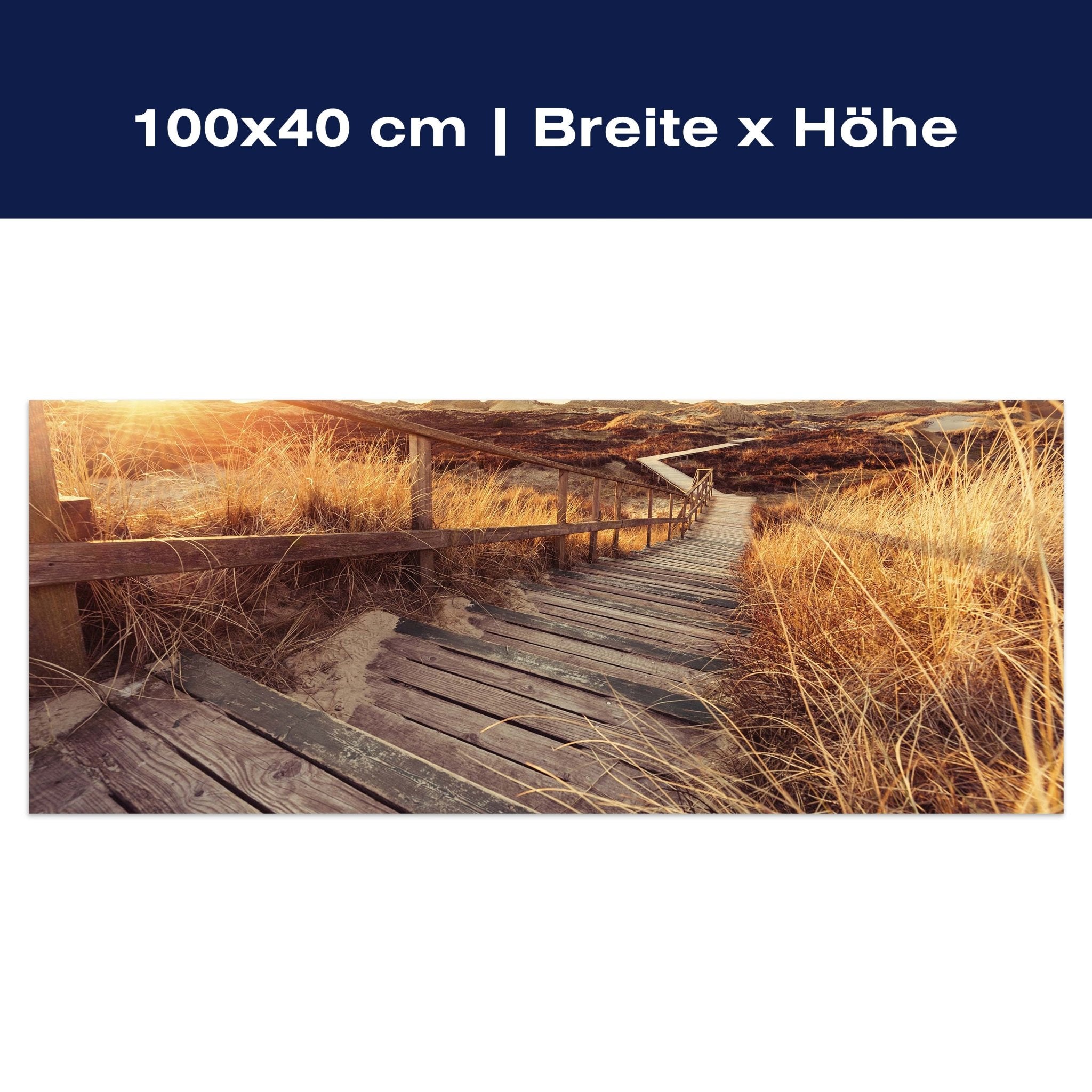 Leinwandbild Treppe in Dünen M0373 Leinwandbild Treppe in Dünen M0373