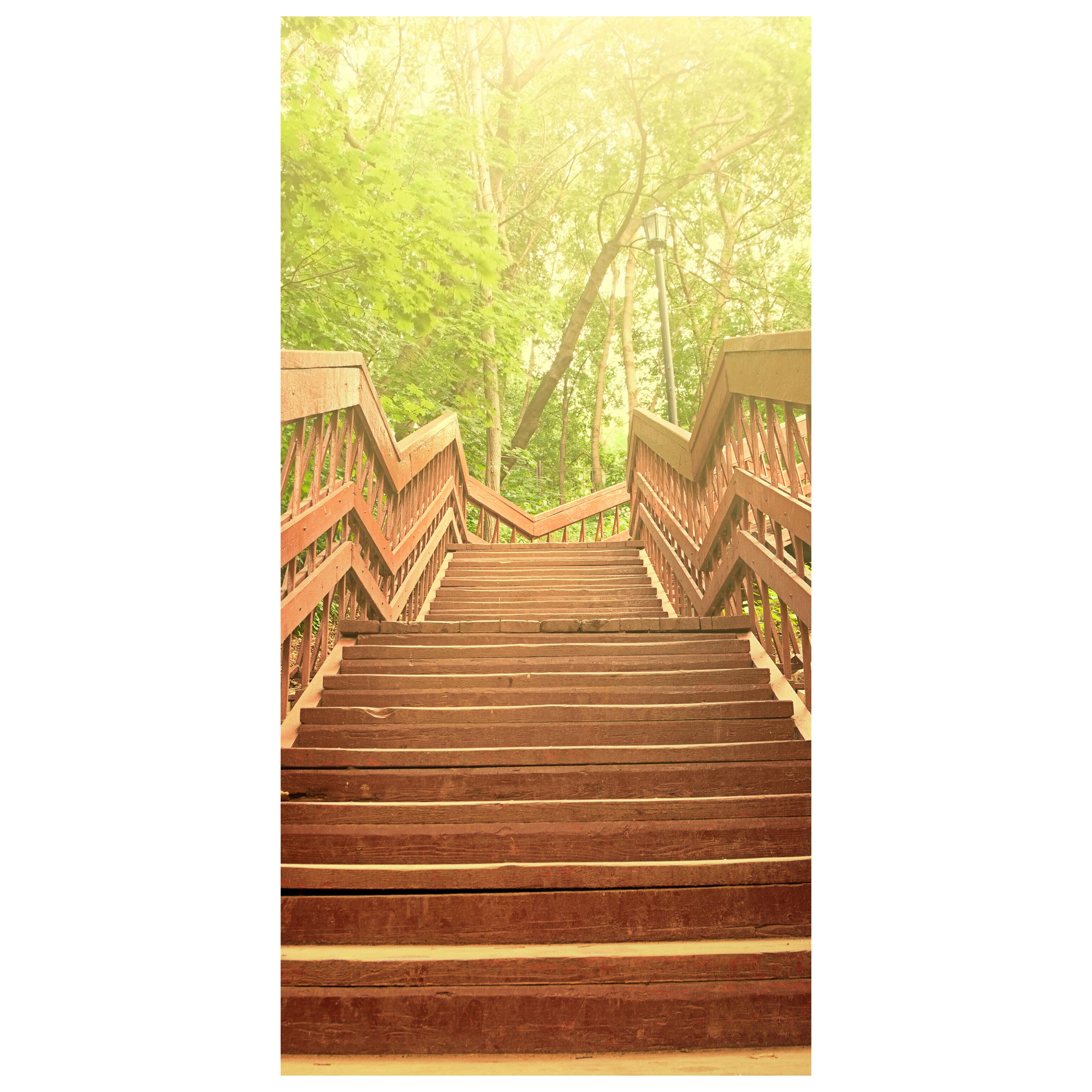 Türtapete Gartentreppe M0379 - Bild 2 Türtapete Gartentreppe M0379 - Bild 2