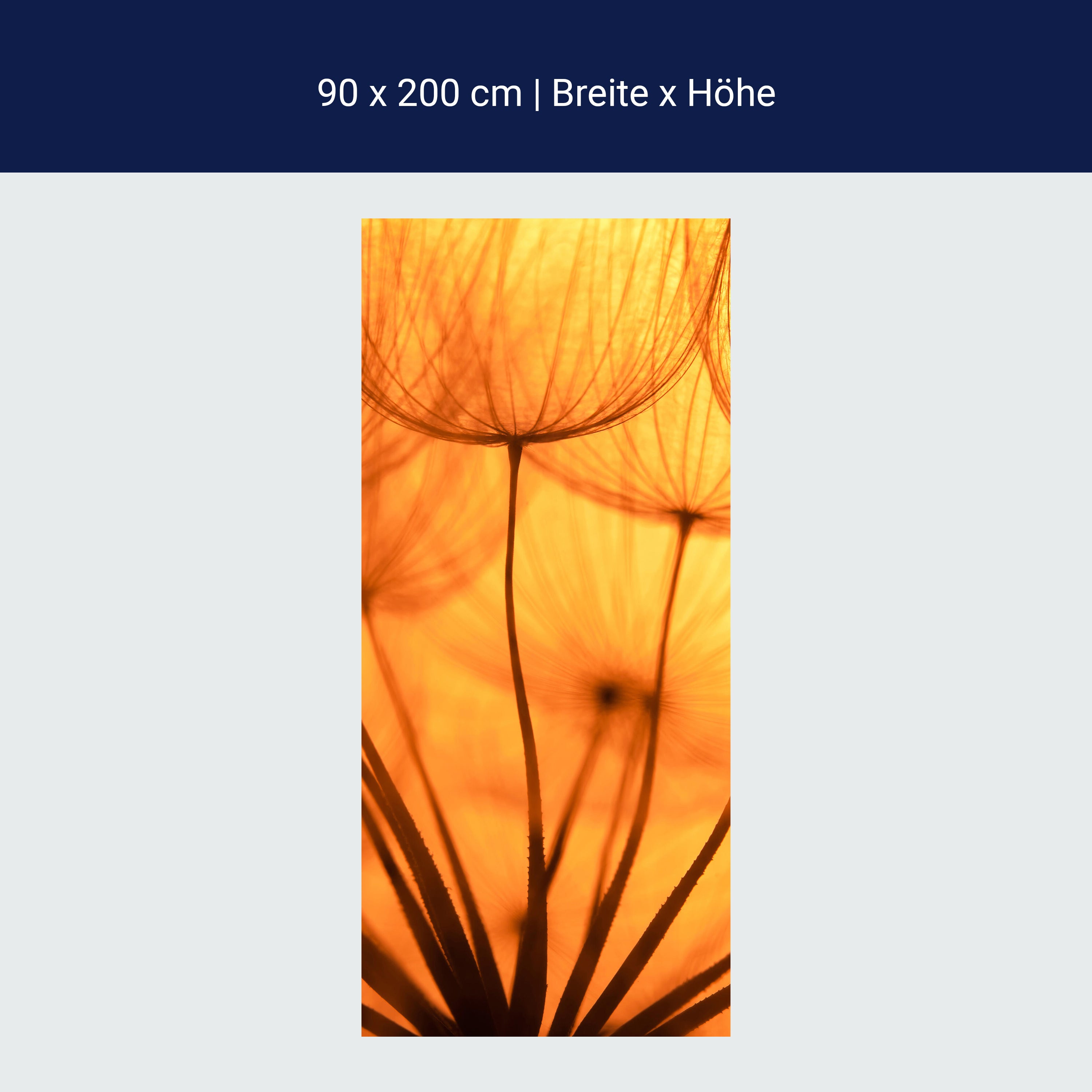 Türtapete Pusteblume Orange M0390 Türtapete Pusteblume Orange M0390