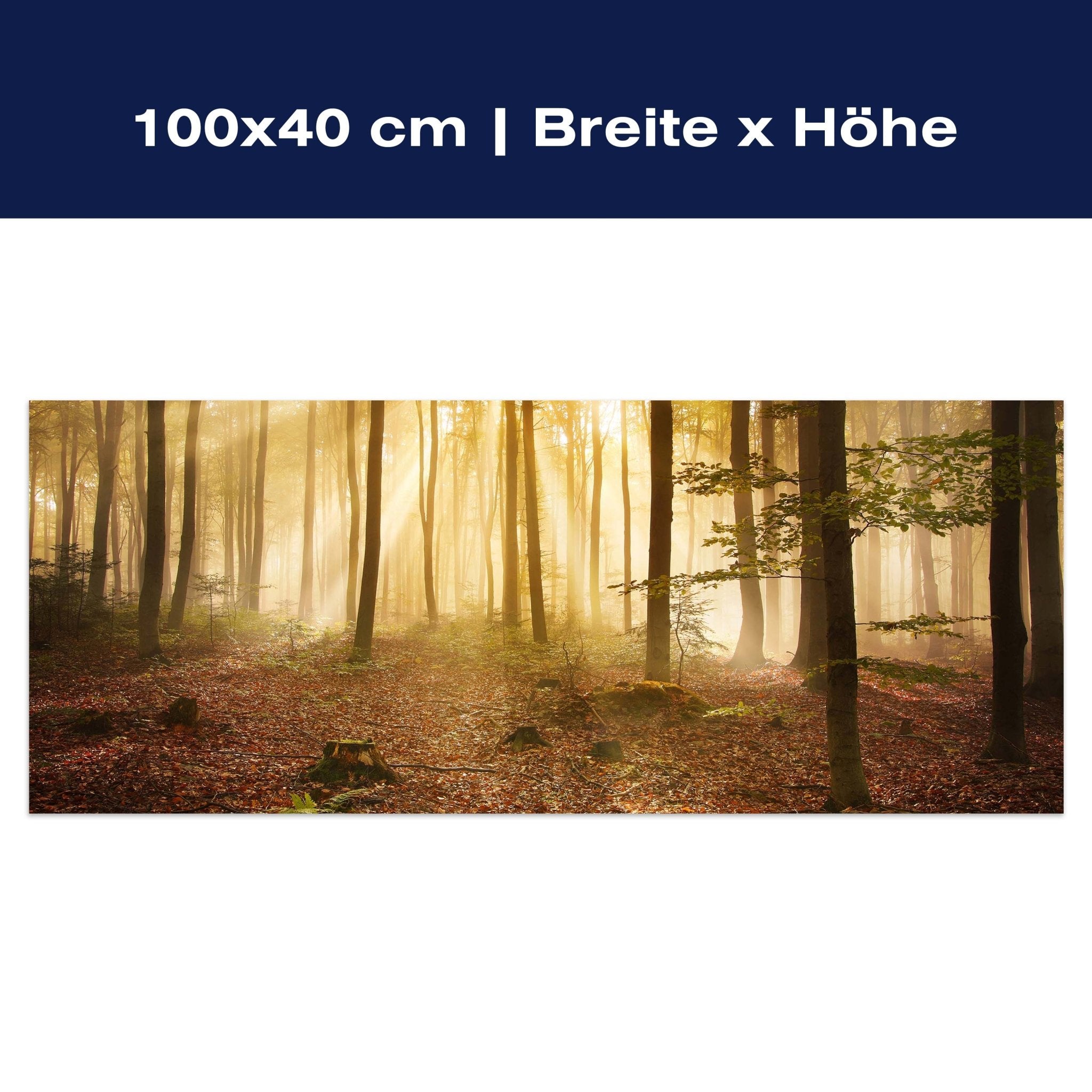 Leinwandbild Wald am Morgen M0391 Leinwandbild Wald am Morgen M0391