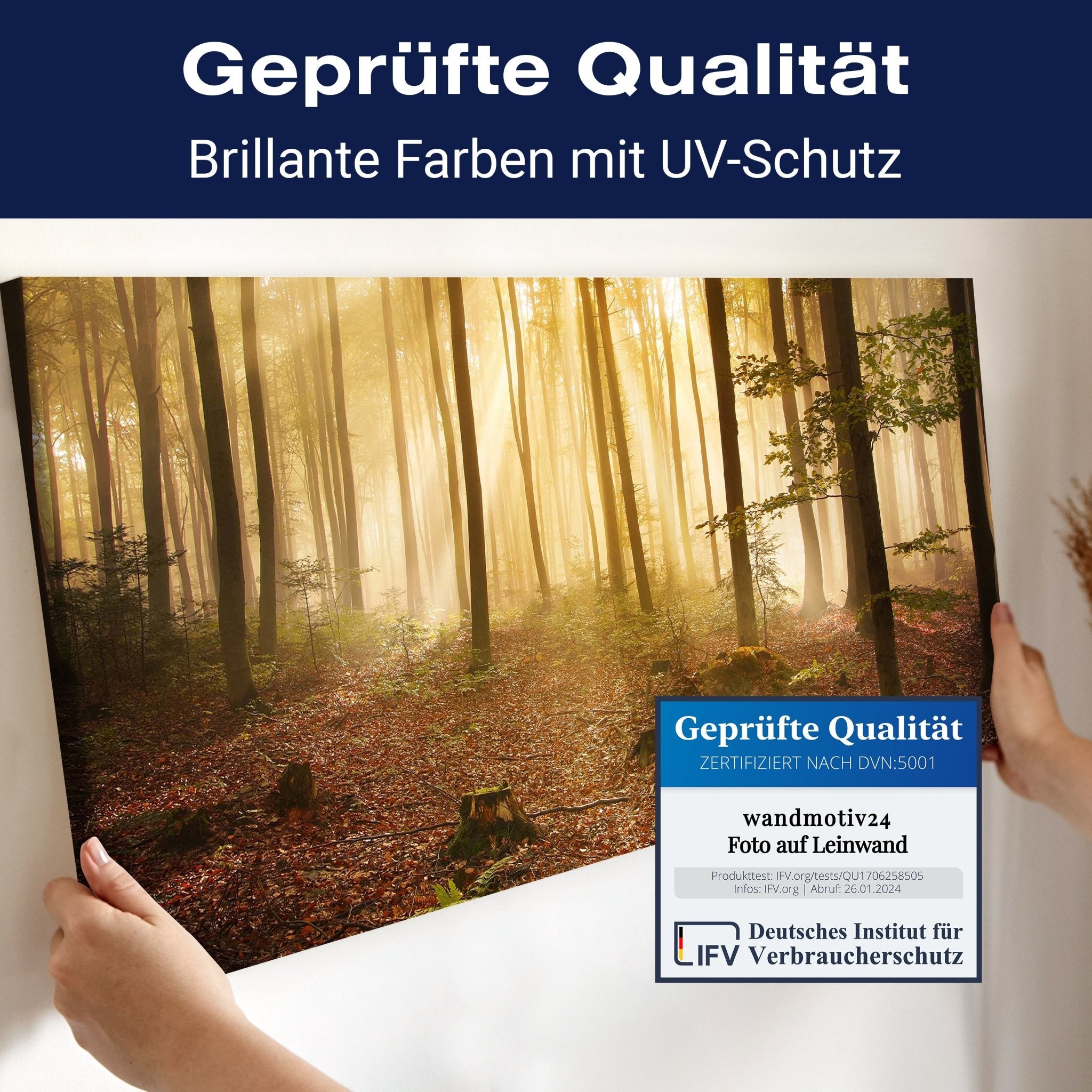 Leinwandbild Wald am Morgen M0391 kaufen - Bild 4 Leinwandbild Wald am Morgen M0391 kaufen - Bild 4