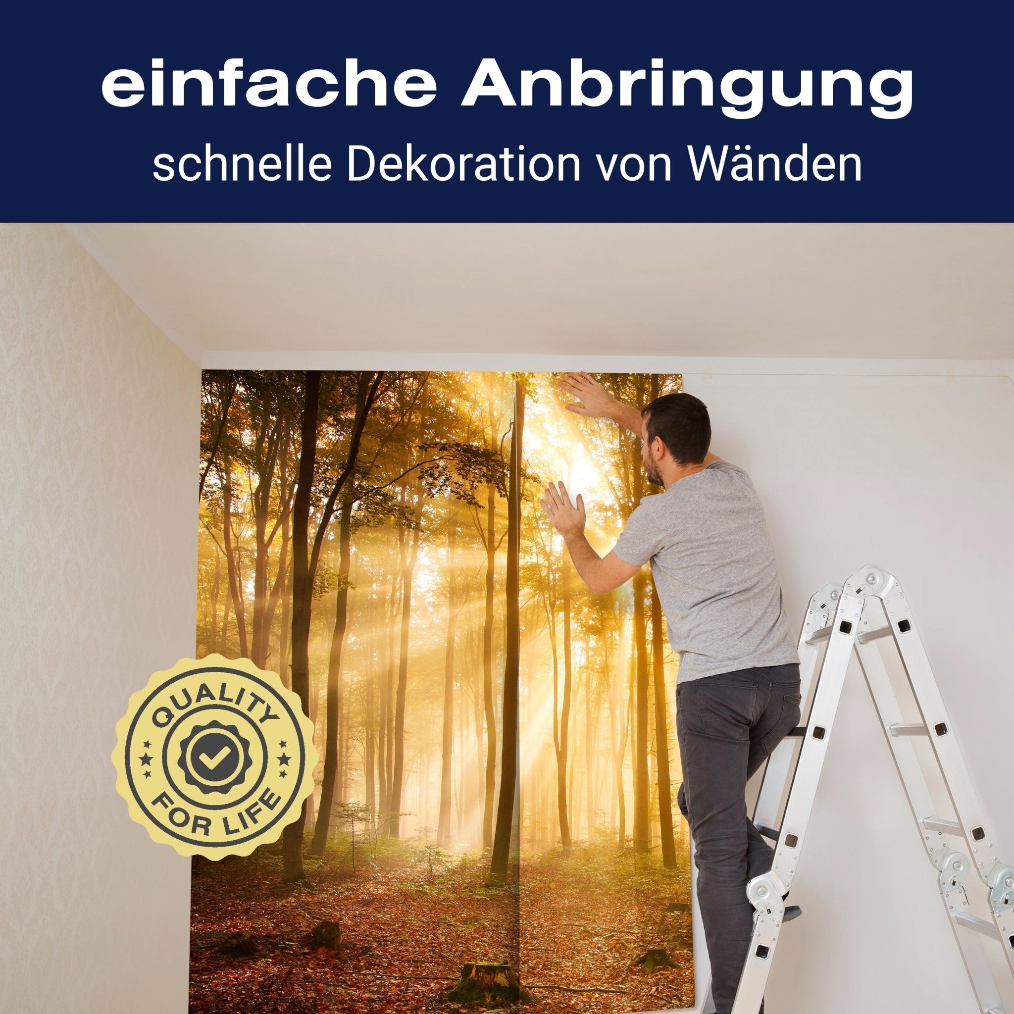 Fototapete Wald am Morgen M0391 - Bild 3 Fototapete Wald am Morgen M0391 - Bild 3