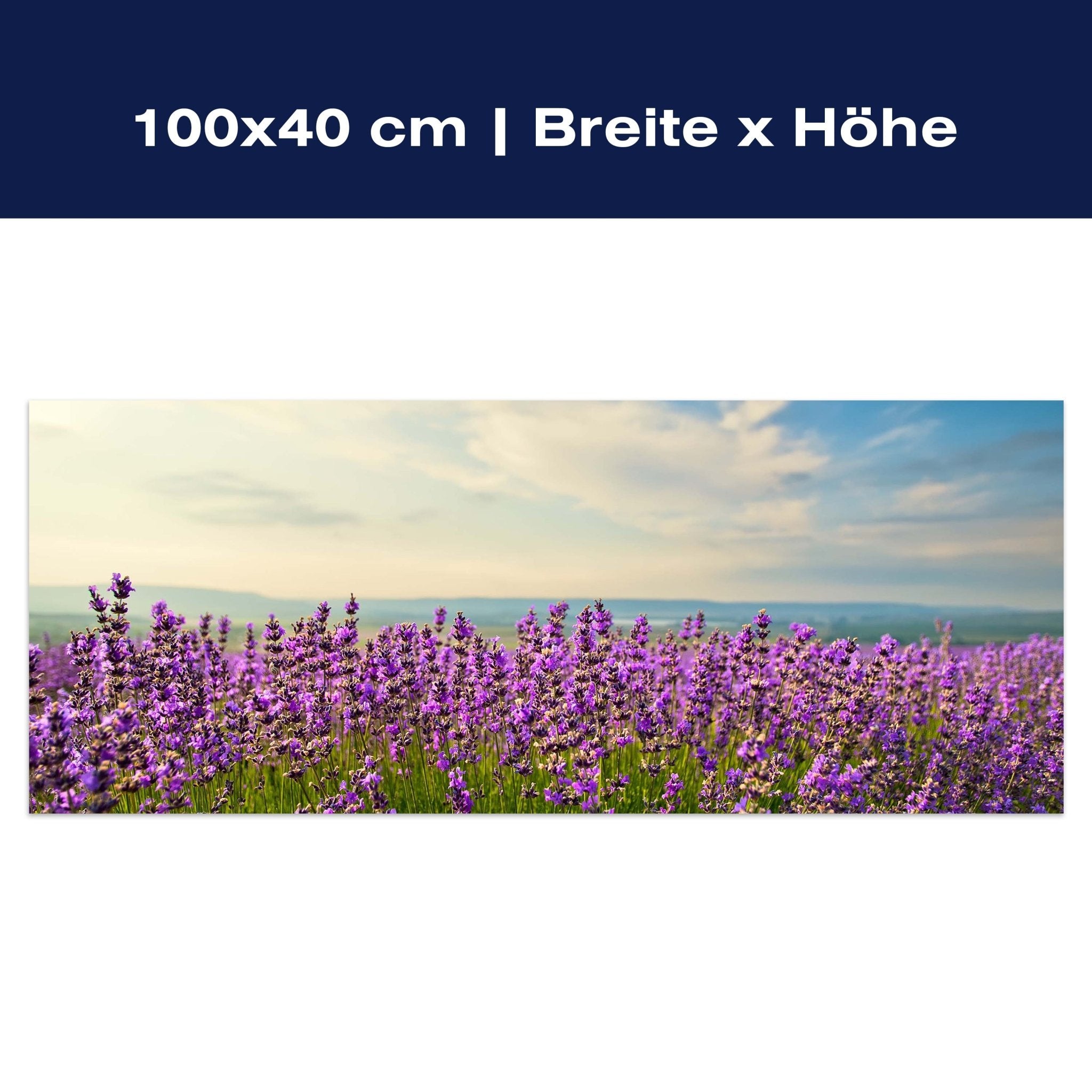 Leinwandbild Lavendel M0411 Leinwandbild Lavendel M0411