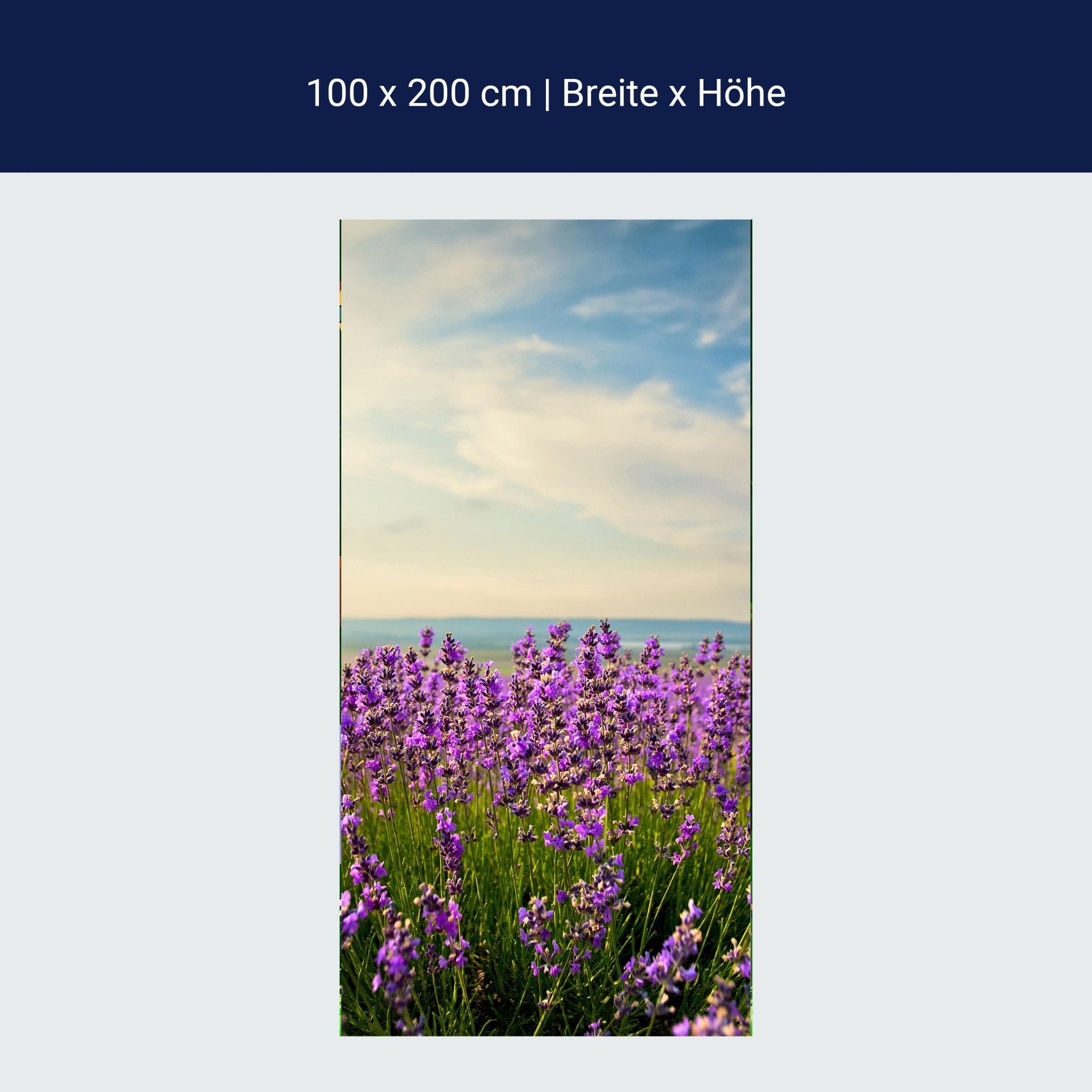 Türtapete Lavendel M0411 Türtapete Lavendel M0411