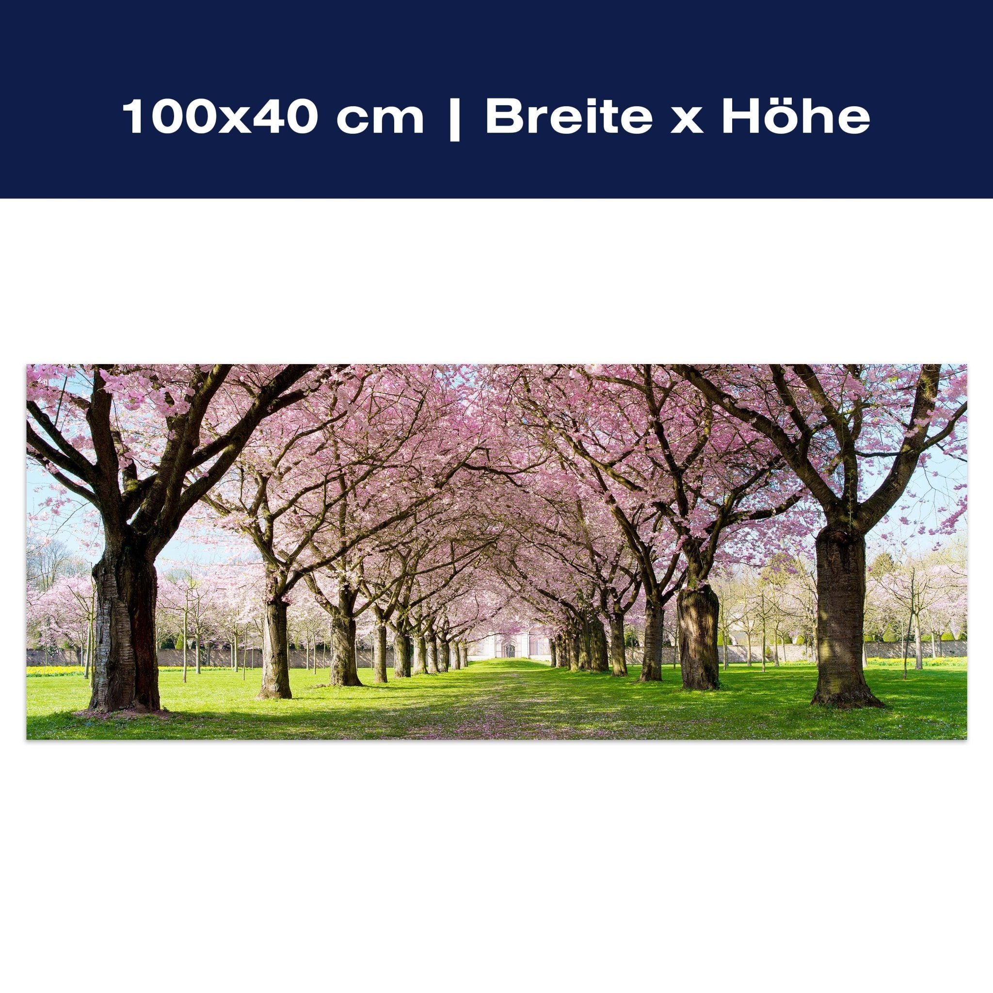 Leinwandbild Kirschbaumallee M0412 Leinwandbild Kirschbaumallee M0412