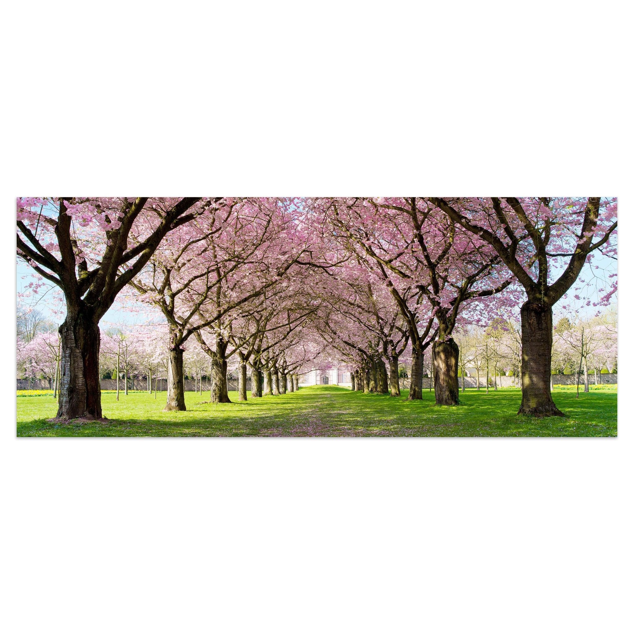 Leinwandbild Kirschbaumallee M0412 kaufen - Bild 1 Leinwandbild Kirschbaumallee M0412 kaufen - Bild 1