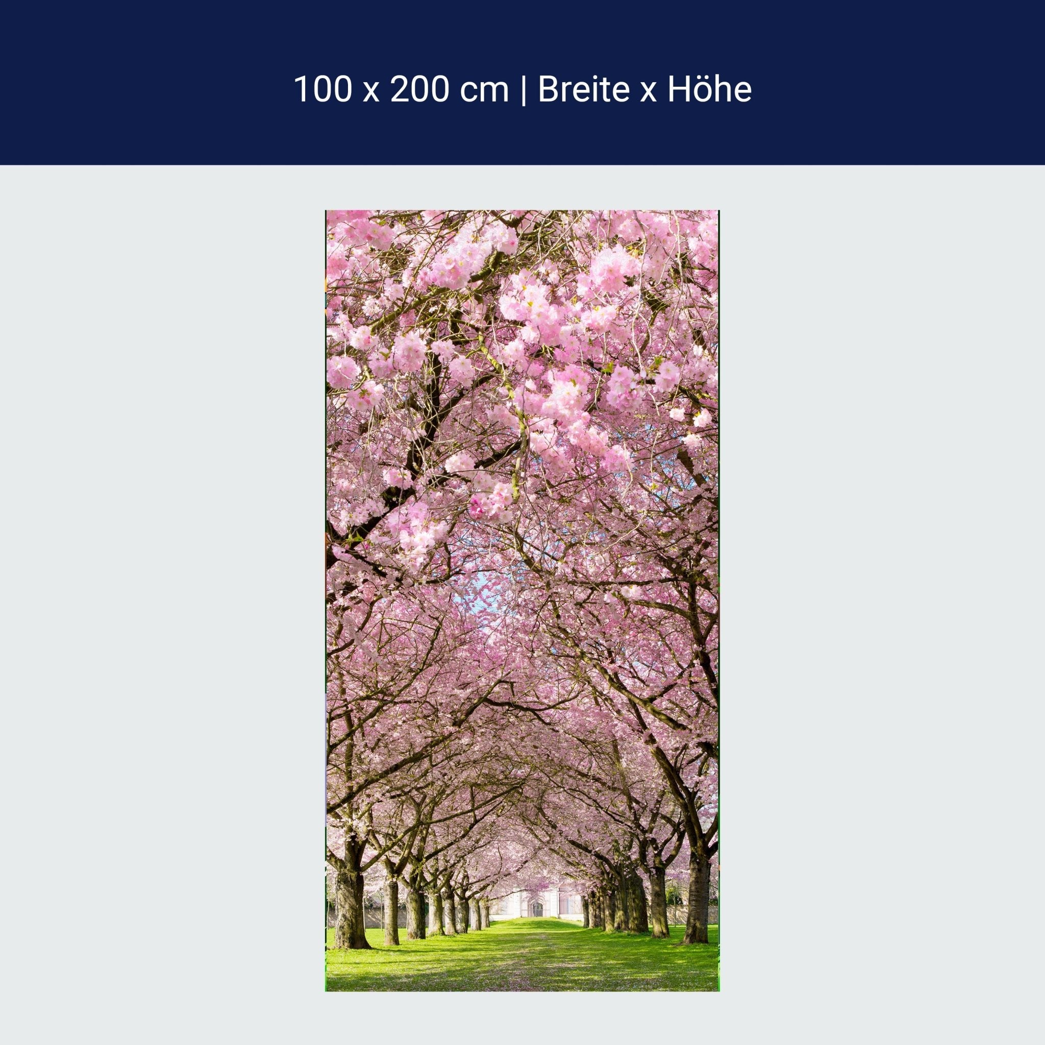 Türtapete Kirschbaumallee M0412 Türtapete Kirschbaumallee M0412