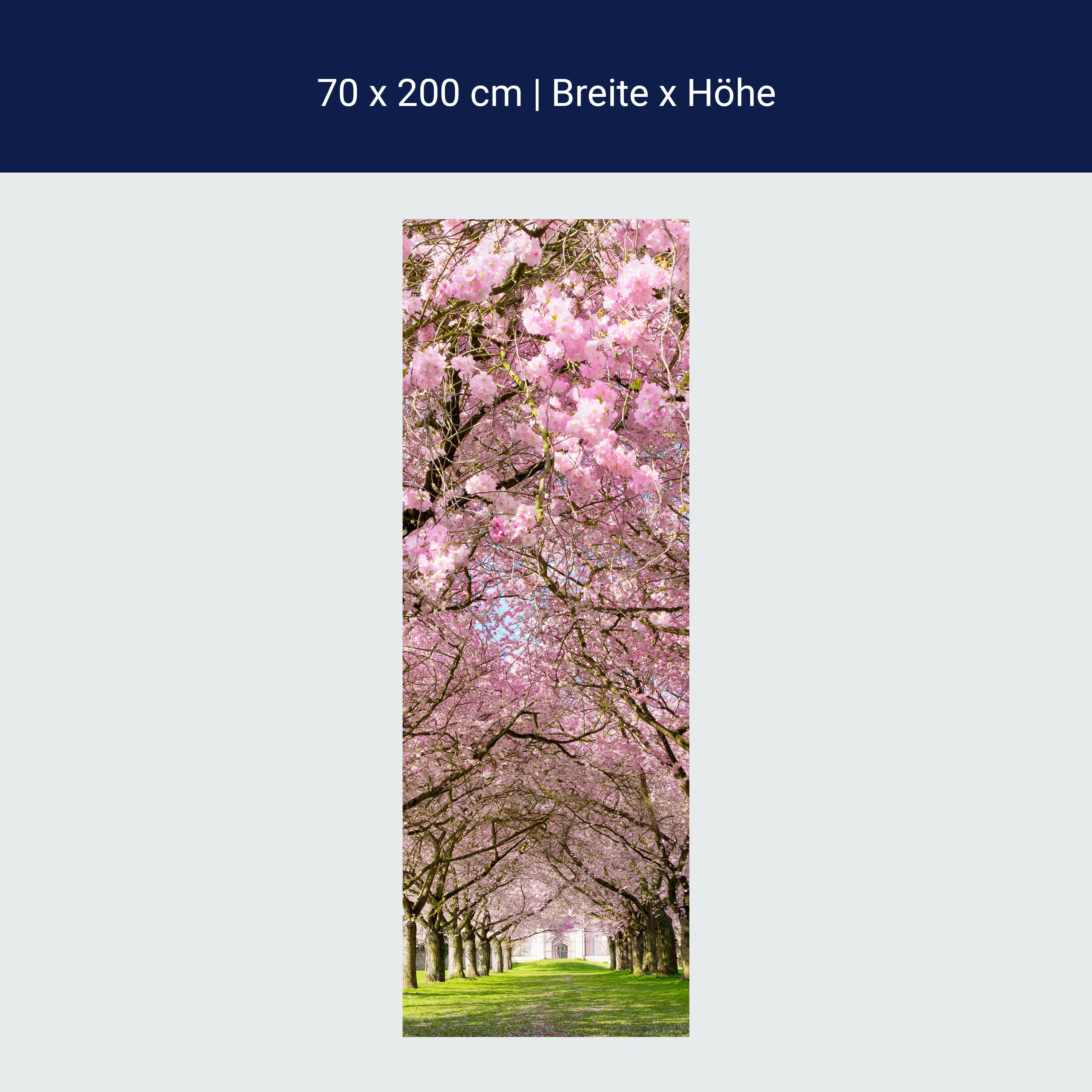 Türtapete Kirschbaumallee M0412 Türtapete Kirschbaumallee M0412