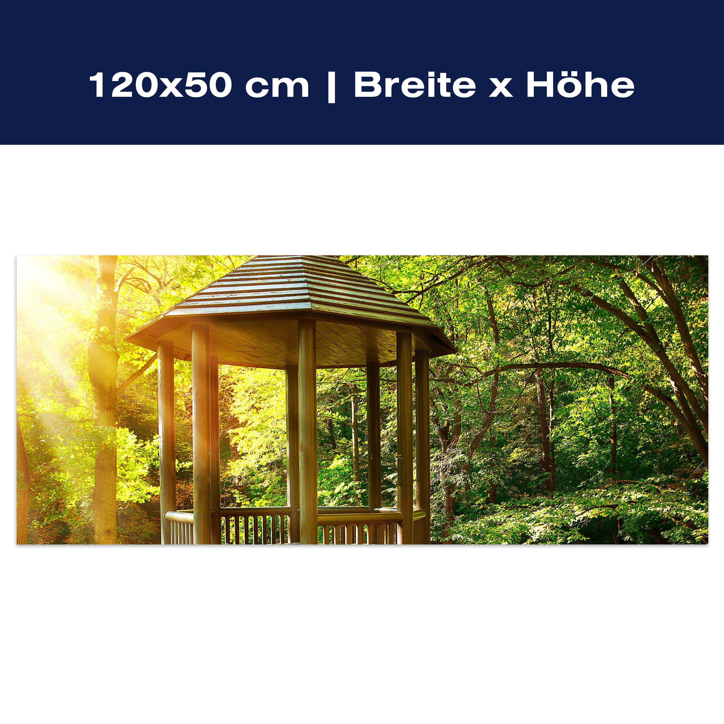 Leinwandbild Park M0414 Leinwandbild Park M0414