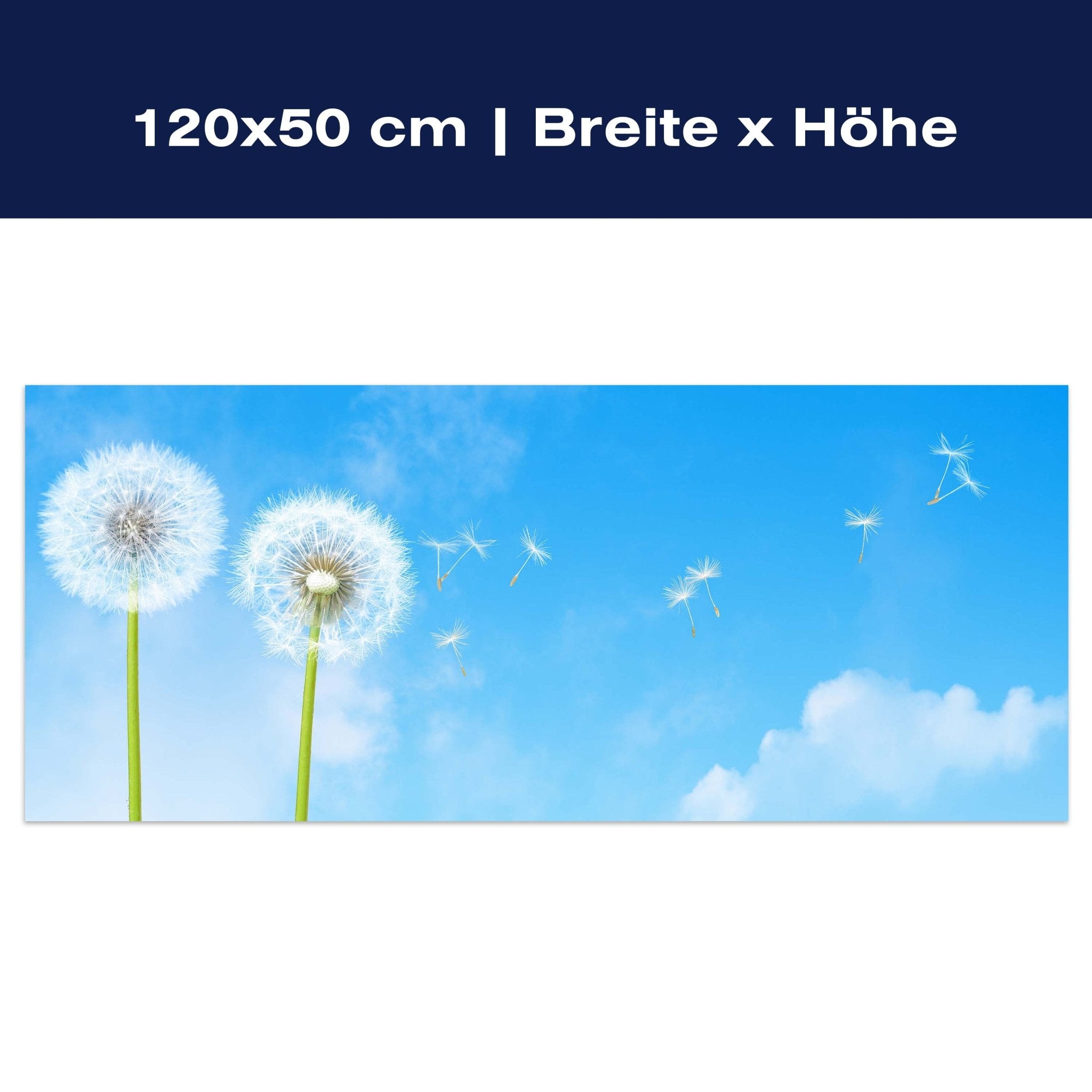 Leinwandbild Pusteblumen M0416 Leinwandbild Pusteblumen M0416