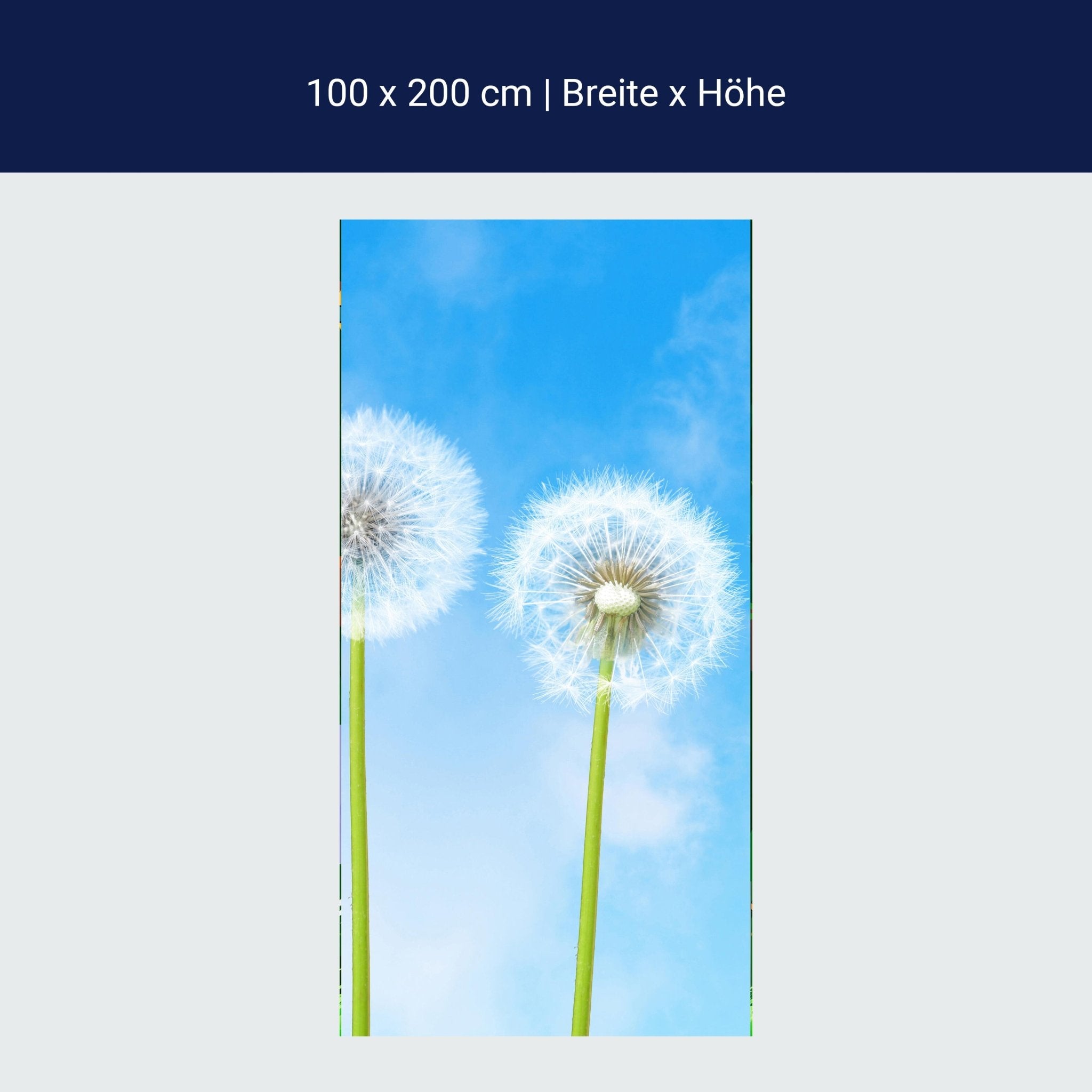 Türtapete Pusteblumen M0416 Türtapete Pusteblumen M0416