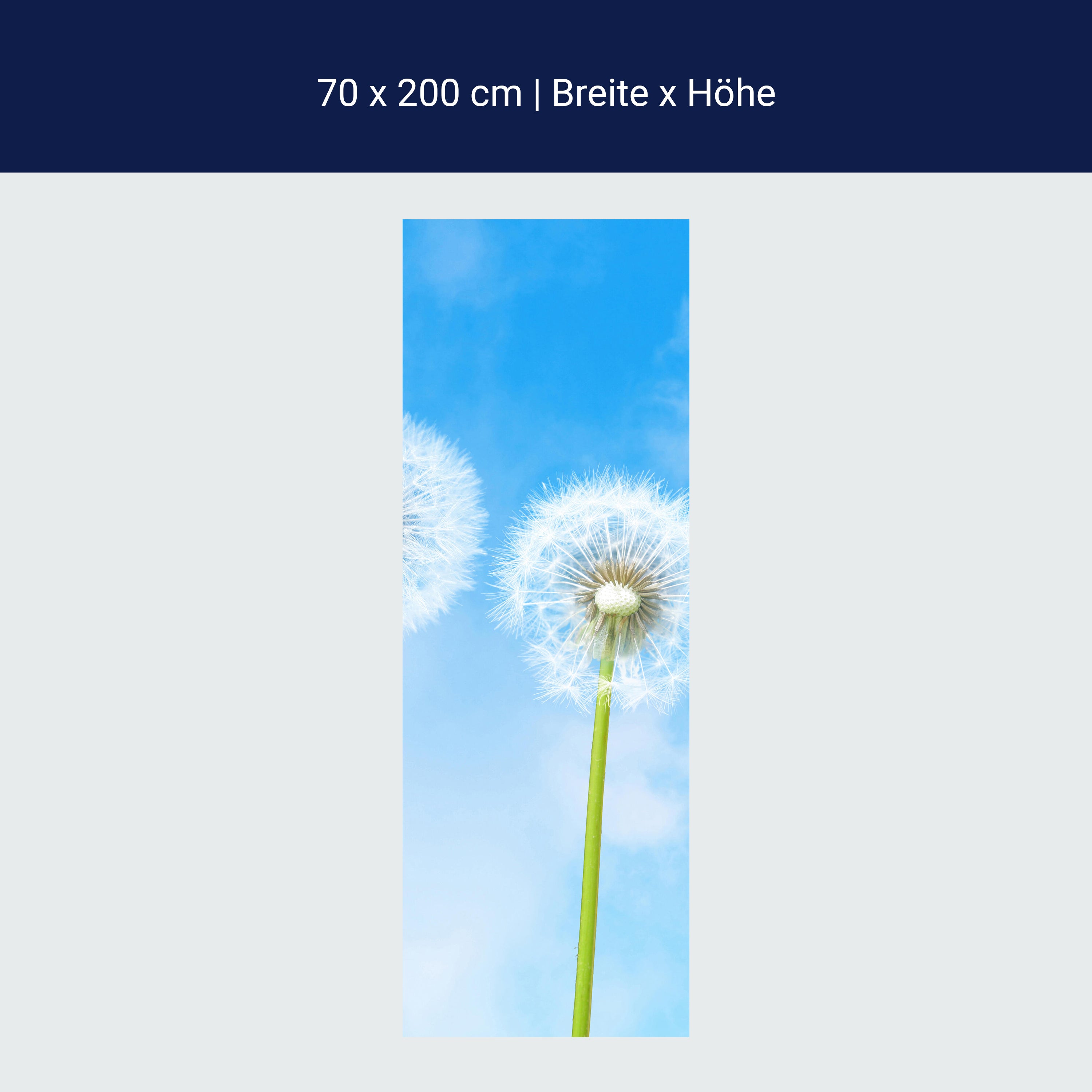 Türtapete Pusteblumen M0416 Türtapete Pusteblumen M0416