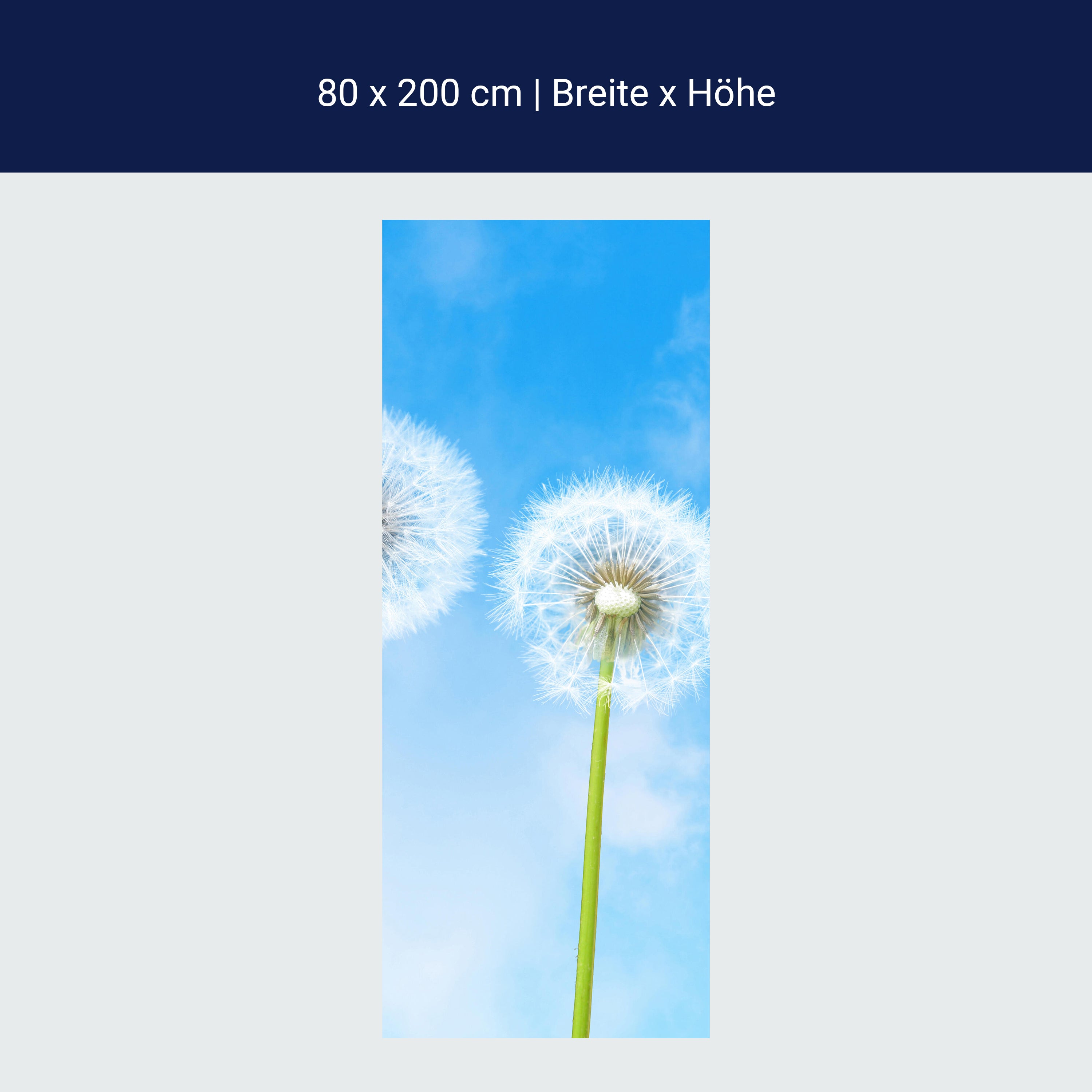 Türtapete Pusteblumen M0416 Türtapete Pusteblumen M0416